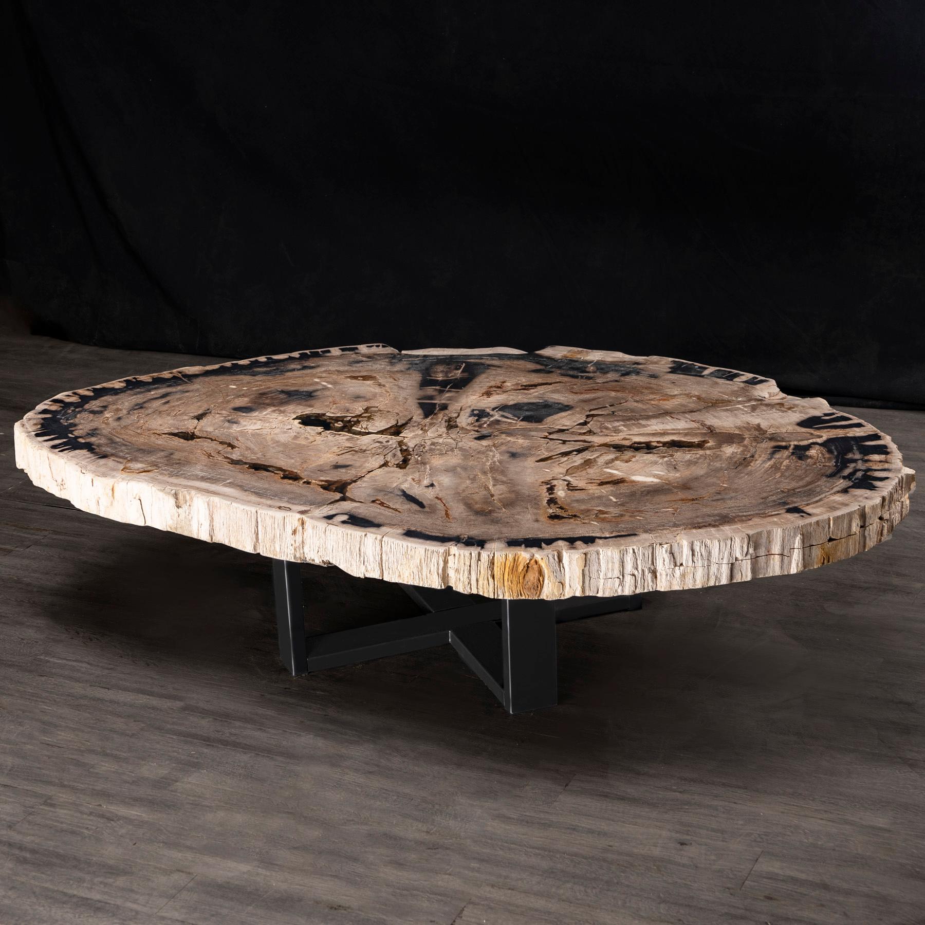 Organique Table centrale ou table basse, de forme naturelle, bois pétrifié avec base en métal en vente