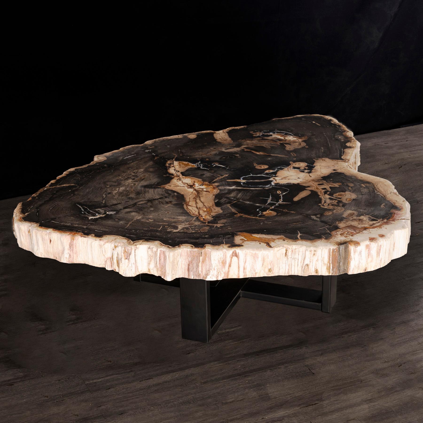 Organique Table centrale ou table basse, de forme naturelle, bois pétrifié avec base en métal en vente