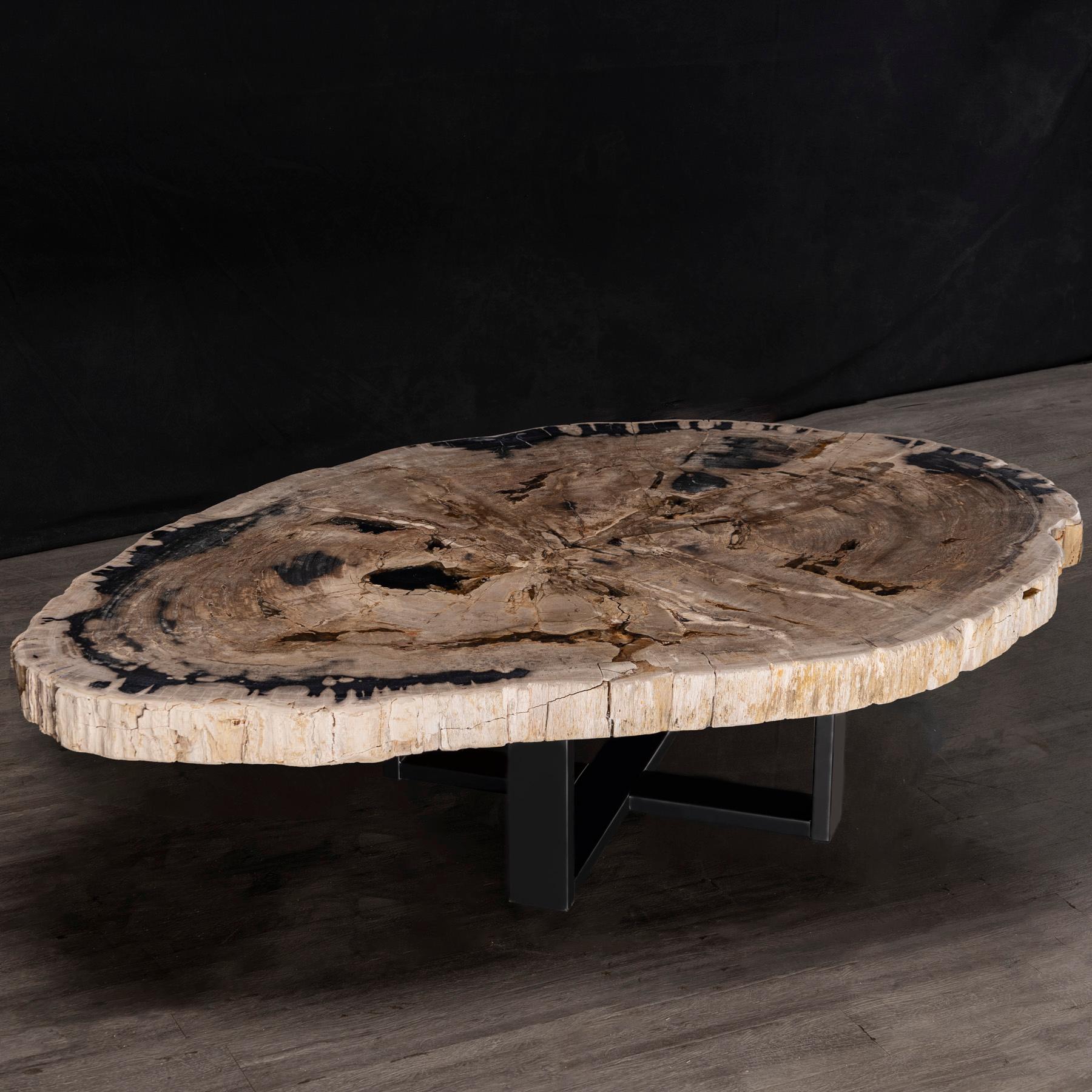 Organic Modern Center or Coffee Table, Natural Shape, Petrified Wood with Metal Base For Sale