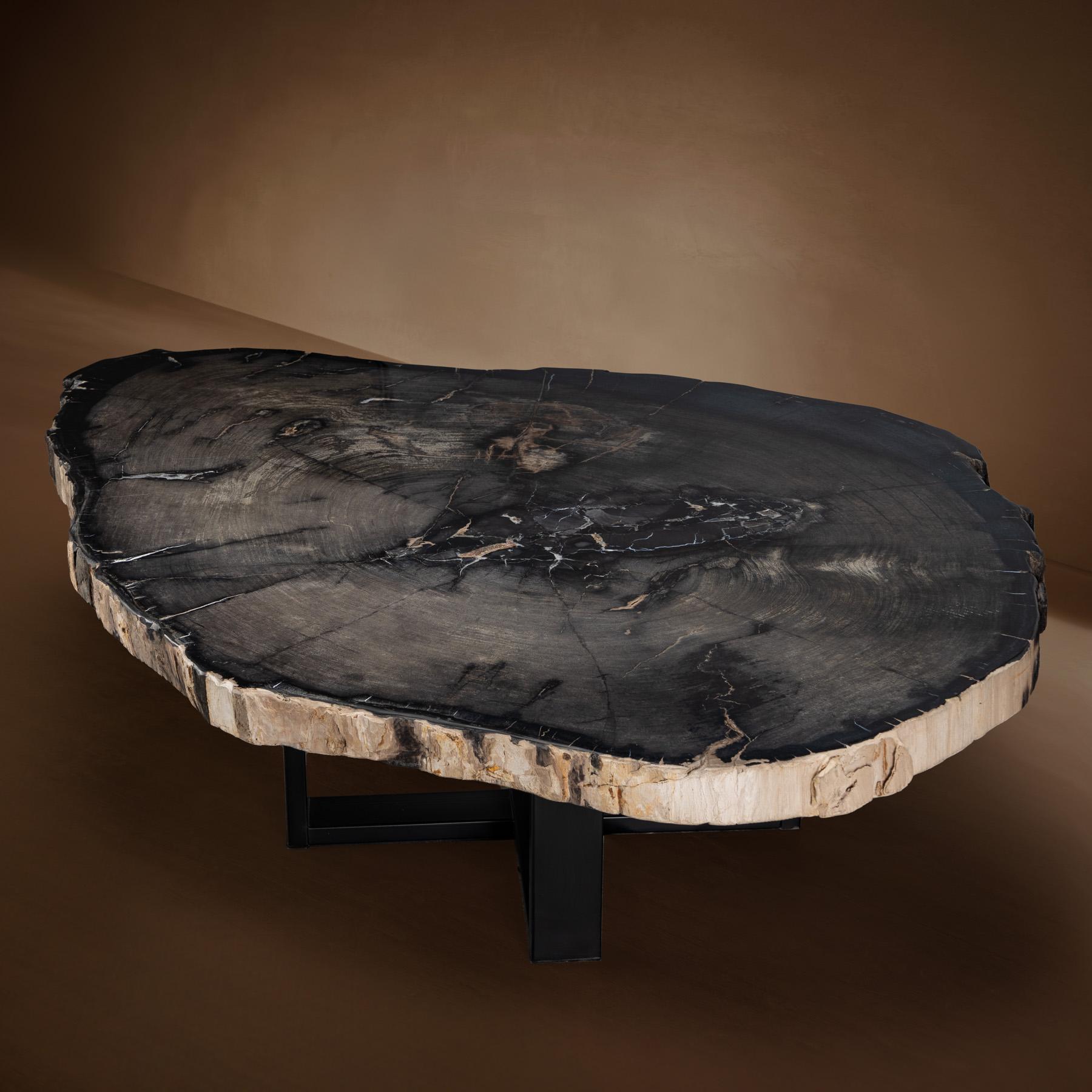 Organic Modern Center or Coffee Table, Natural Shape, Petrified Wood with Metal Base For Sale