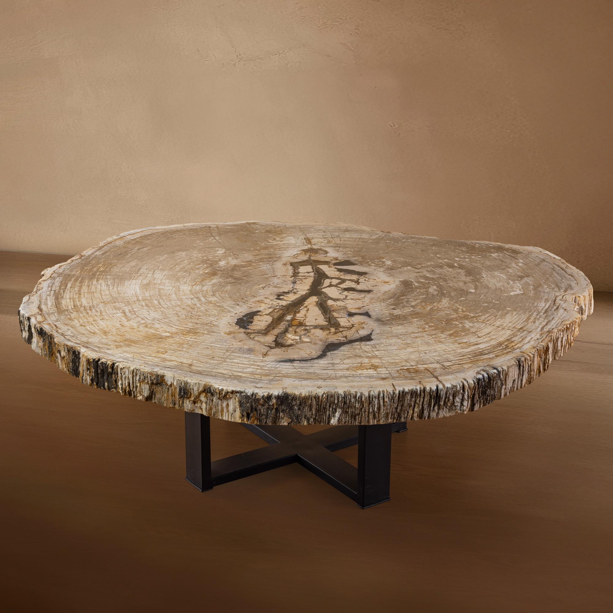 Organique Table centrale ou table basse, de forme naturelle, bois pétrifié avec base en métal en vente