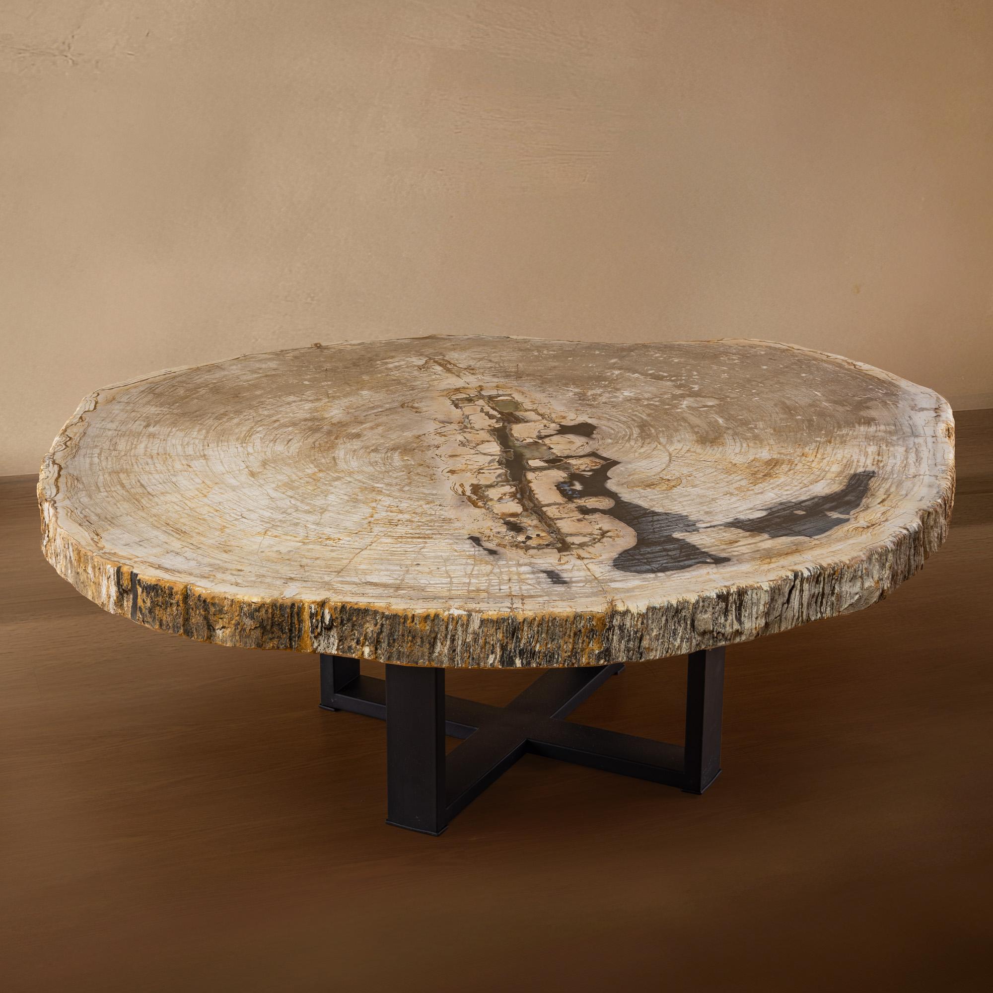 Organique Table centrale ou table basse, de forme naturelle, bois pétrifié avec base en métal en vente