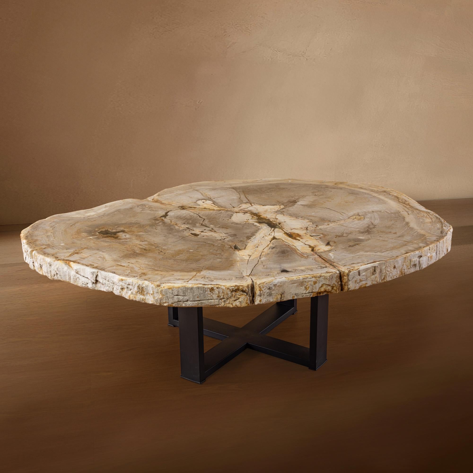 Organico moderno Tavolino da centro o da caffè in legno pietrificato, forma naturale e base in metallo, Miocene in vendita