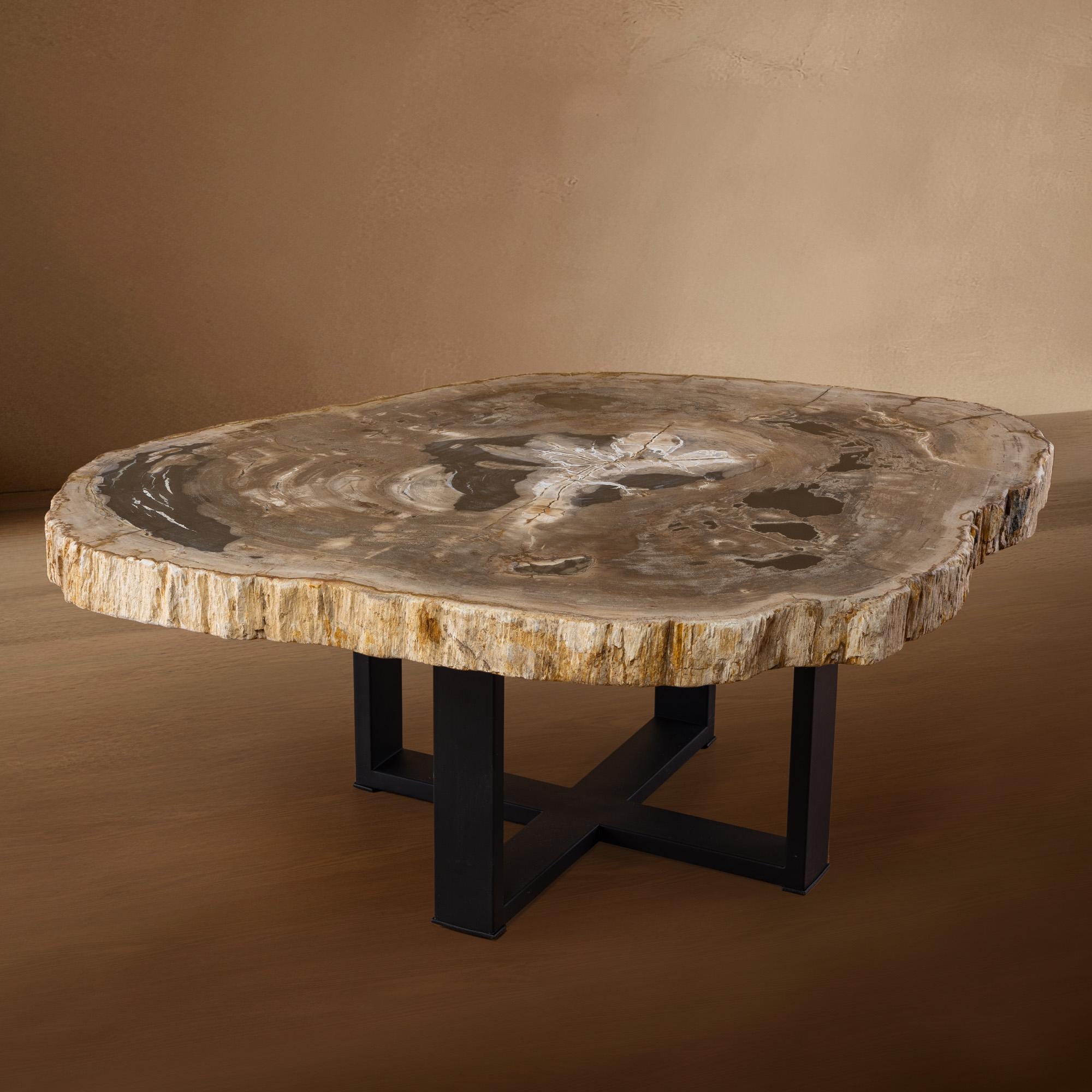 Organique Table centrale ou table basse, de forme naturelle, bois pétrifié avec base en métal en vente