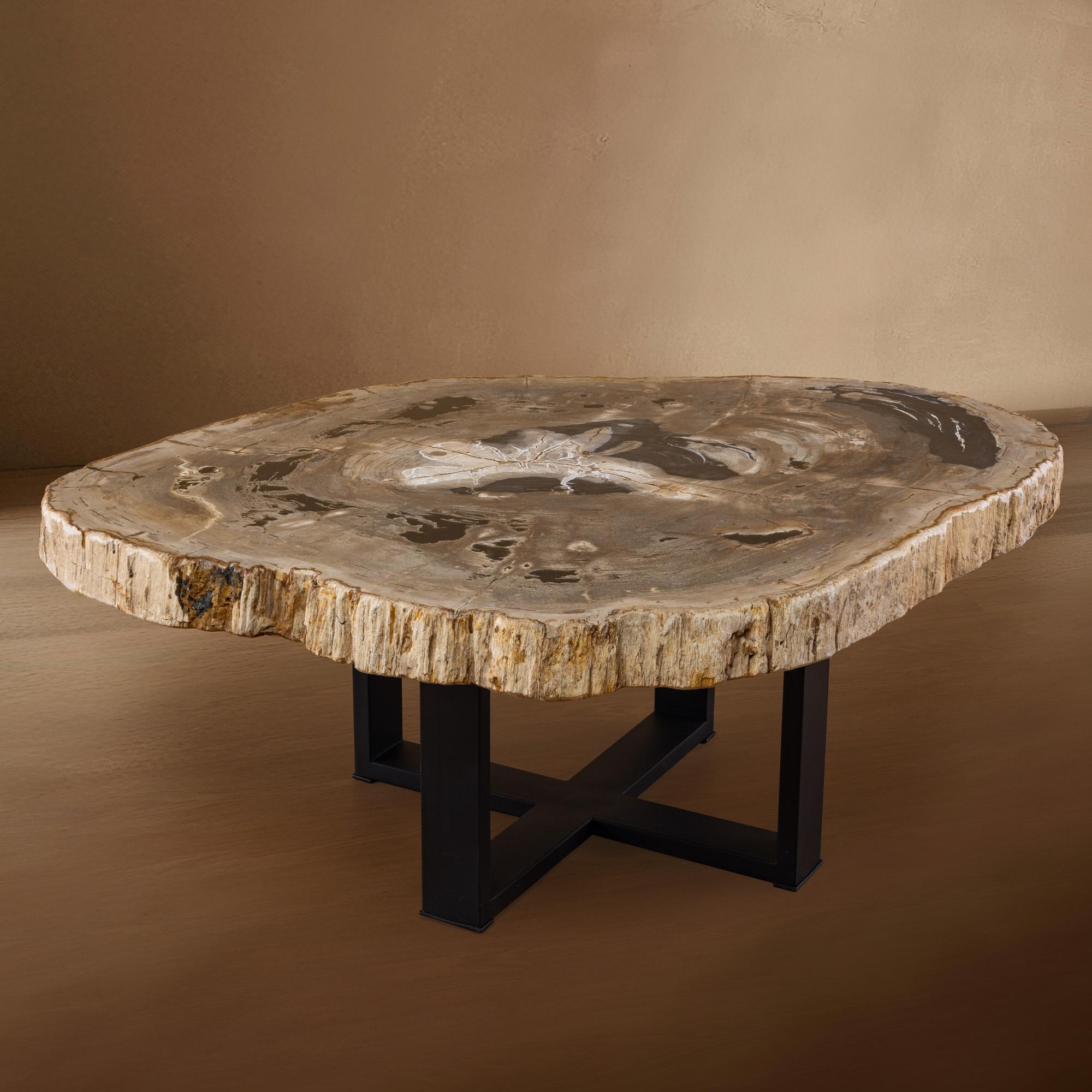 Organic Modern 20 Myr Petrified Wood Center or Coffee Table, Natural Shape with Metal Base For Sale