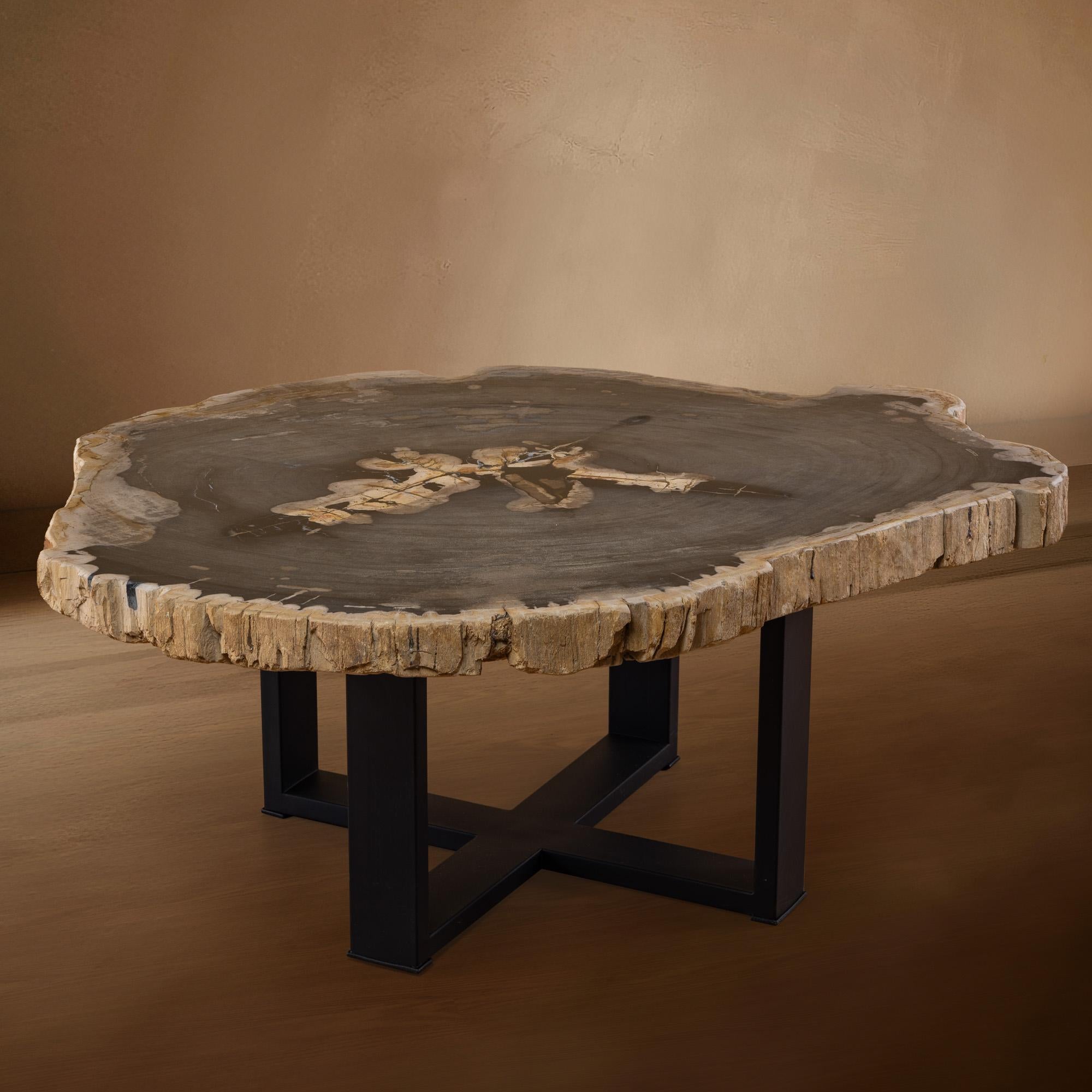 Organique Table centrale ou table basse, de forme naturelle, bois pétrifié avec base en métal en vente