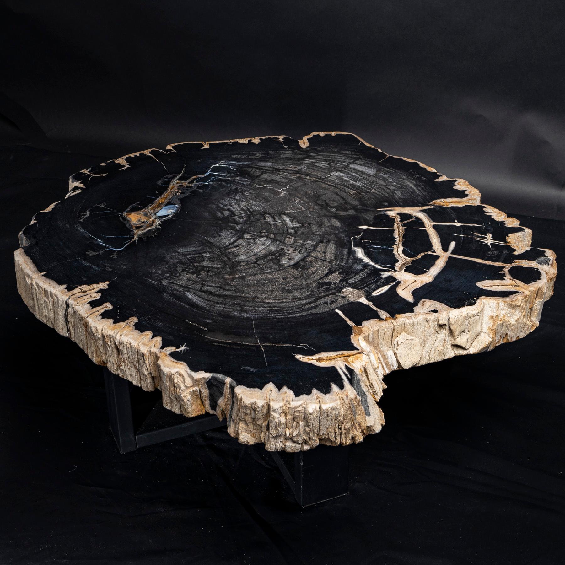 petrified coffee table