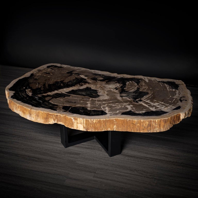 Mexican Center or Coffee Table, Natural Shape, Petrified Wood with Metal Base For Sale
