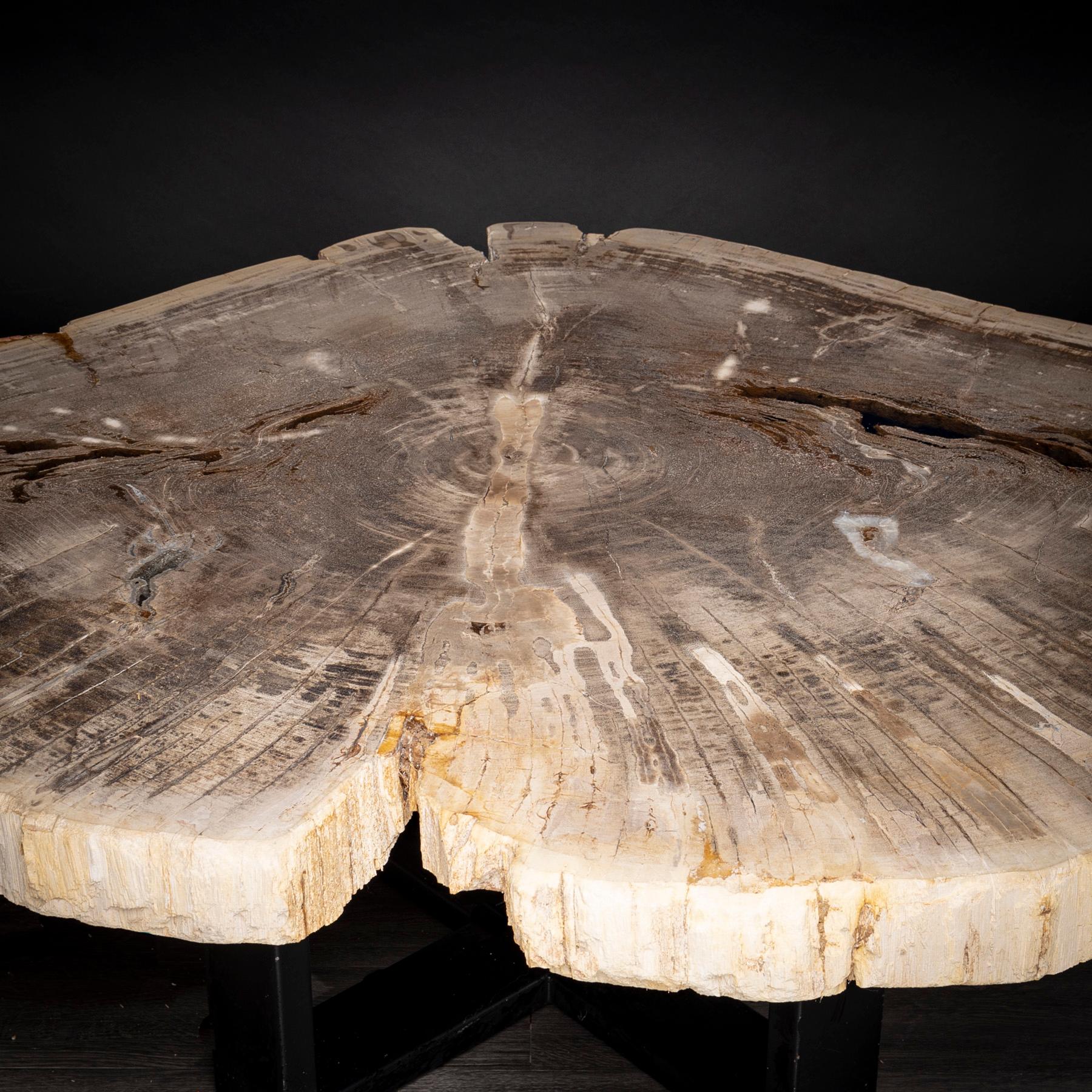 Mexican Center or Coffee Table, Natural Shape, Petrified Wood with Metal Base For Sale