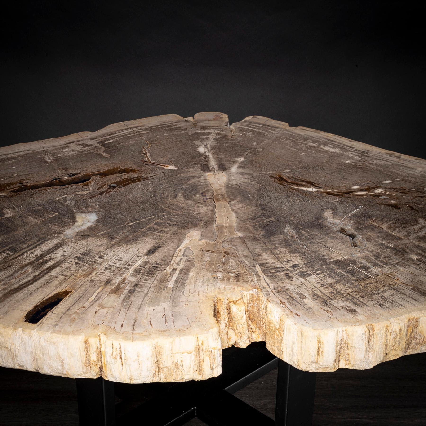 Organic Modern Center or Coffee Table, Natural Shape, Petrified Wood with Metal Base For Sale