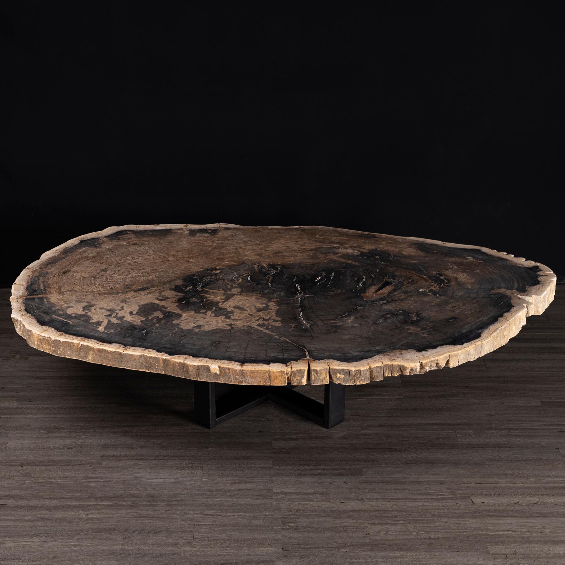 table basse bois fossilise prix