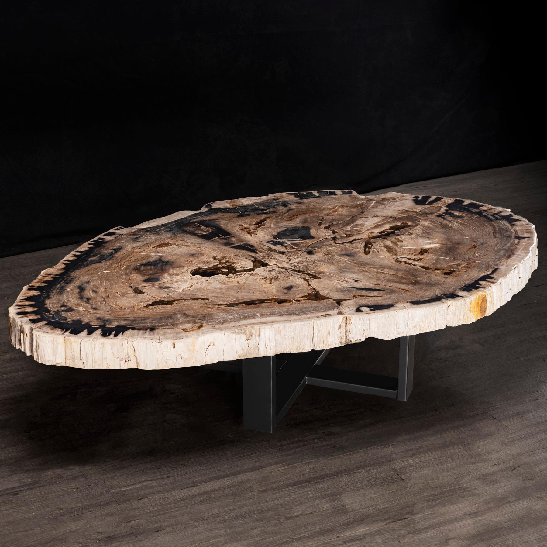 Mexicain Table centrale ou table basse, de forme naturelle, bois pétrifié avec base en métal en vente