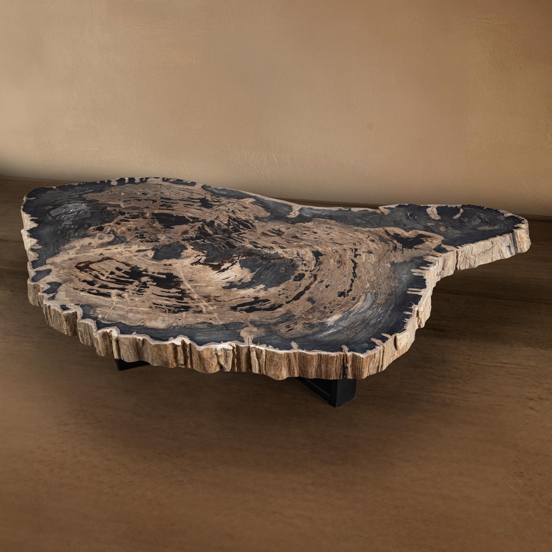 Mexicain Table centrale ou table basse, de forme naturelle, bois pétrifié avec base en métal en vente