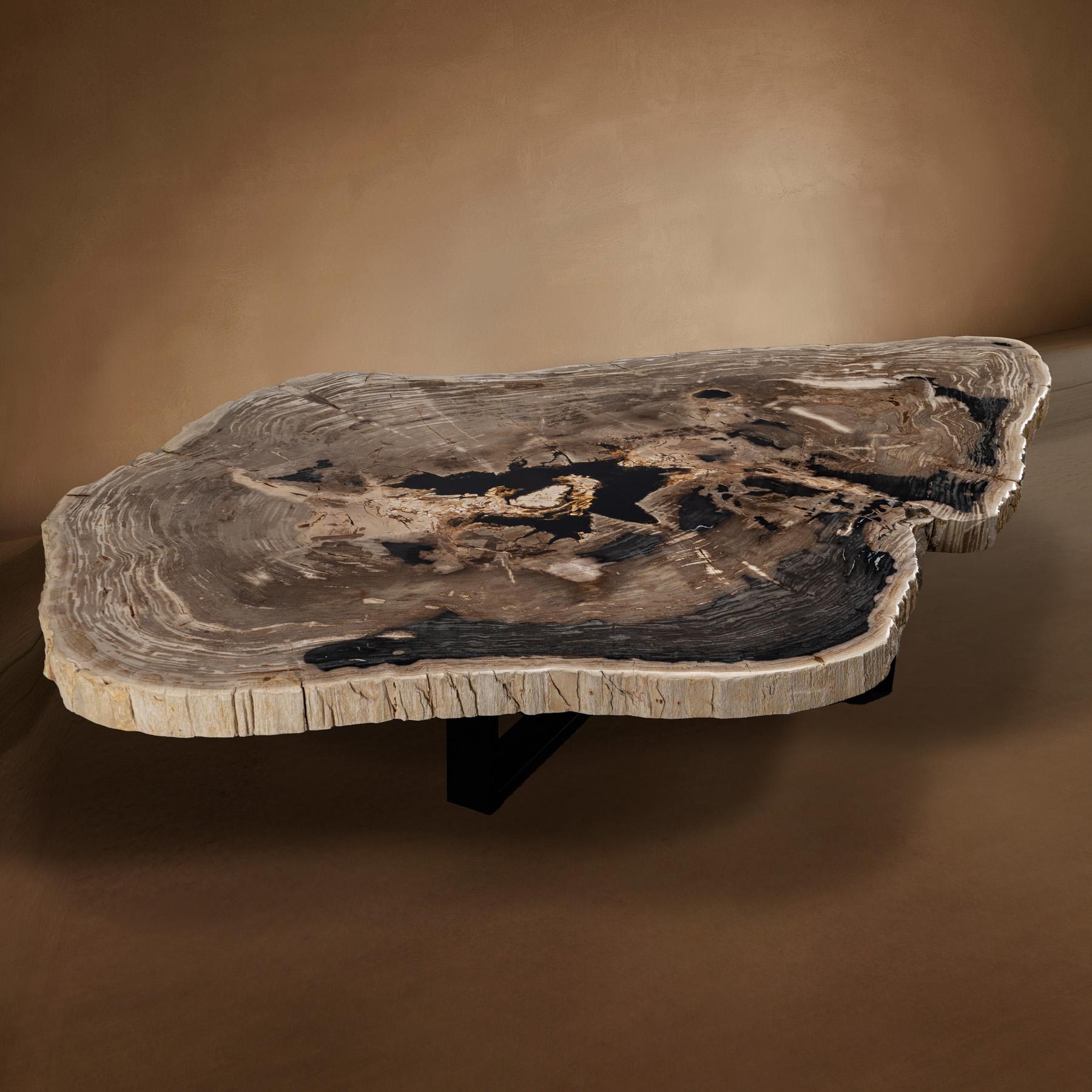 Mexicain Table centrale ou table basse, de forme naturelle, bois pétrifié avec base en métal en vente