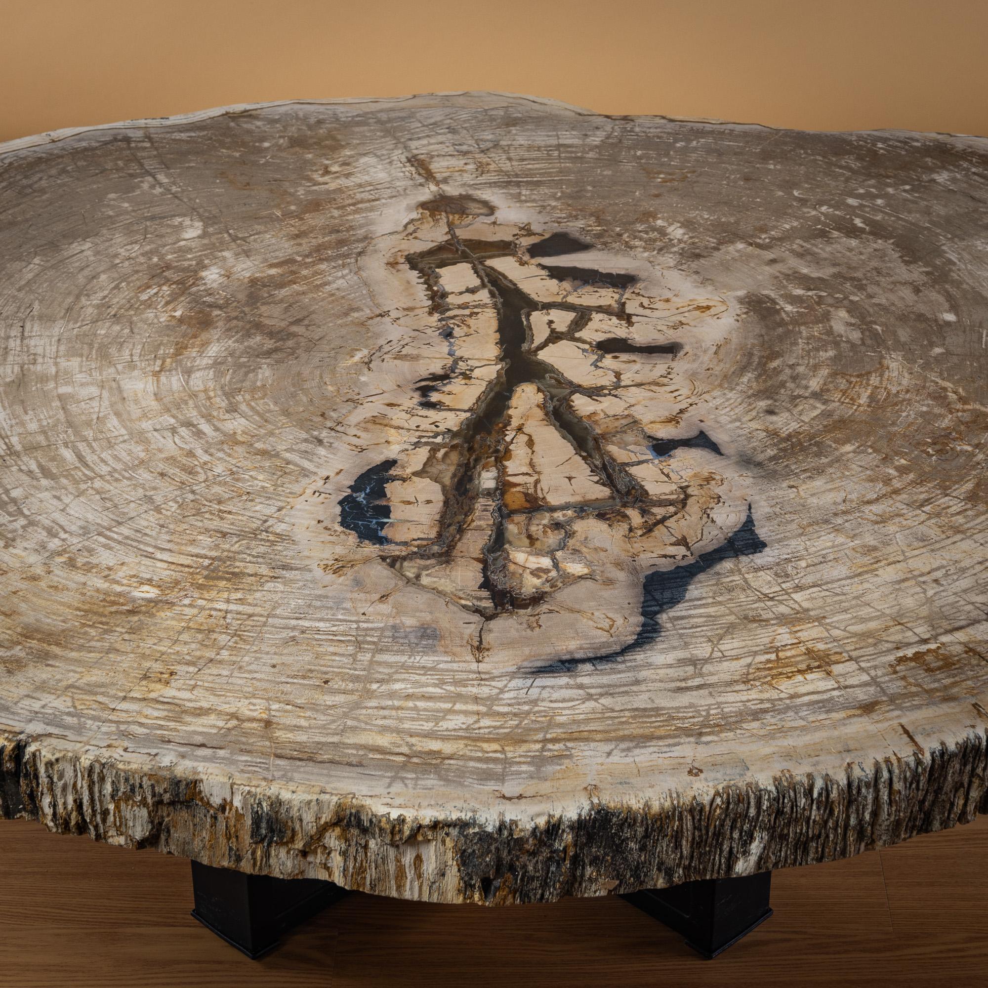 Mexicain Table centrale ou table basse, de forme naturelle, bois pétrifié avec base en métal en vente