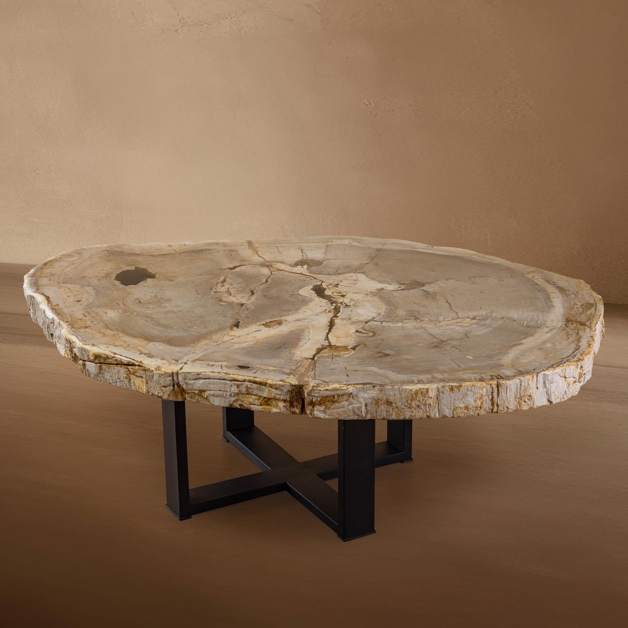 Organique Table centrale ou table basse, de forme naturelle, bois pétrifié avec base en métal en vente