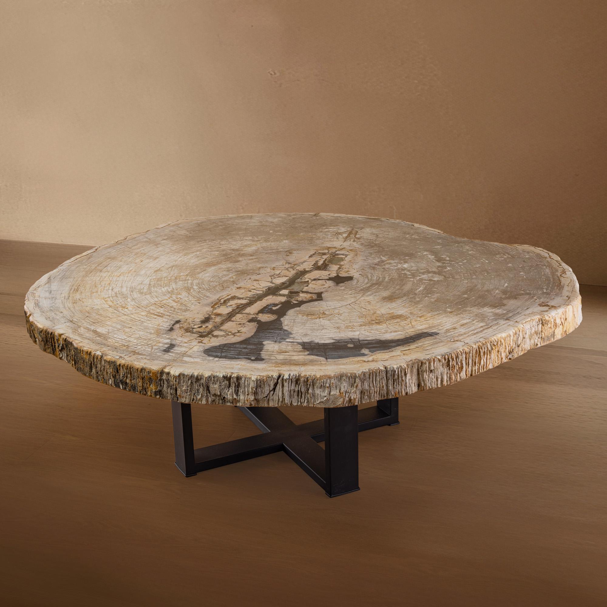 Mexicain Table centrale ou table basse, de forme naturelle, bois pétrifié avec base en métal en vente