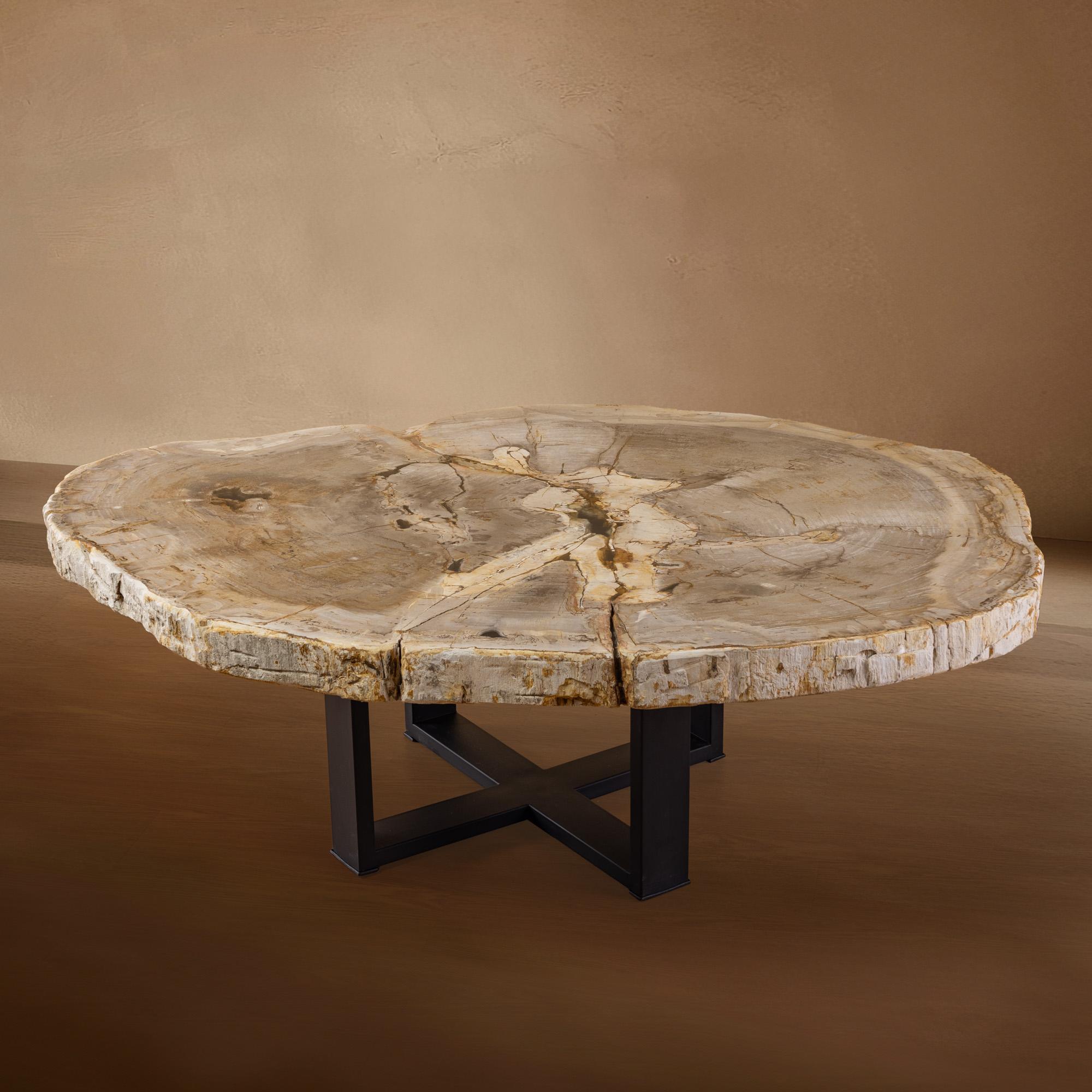 Messicano Tavolino da centro o da caffè in legno pietrificato, forma naturale e base in metallo, Miocene in vendita