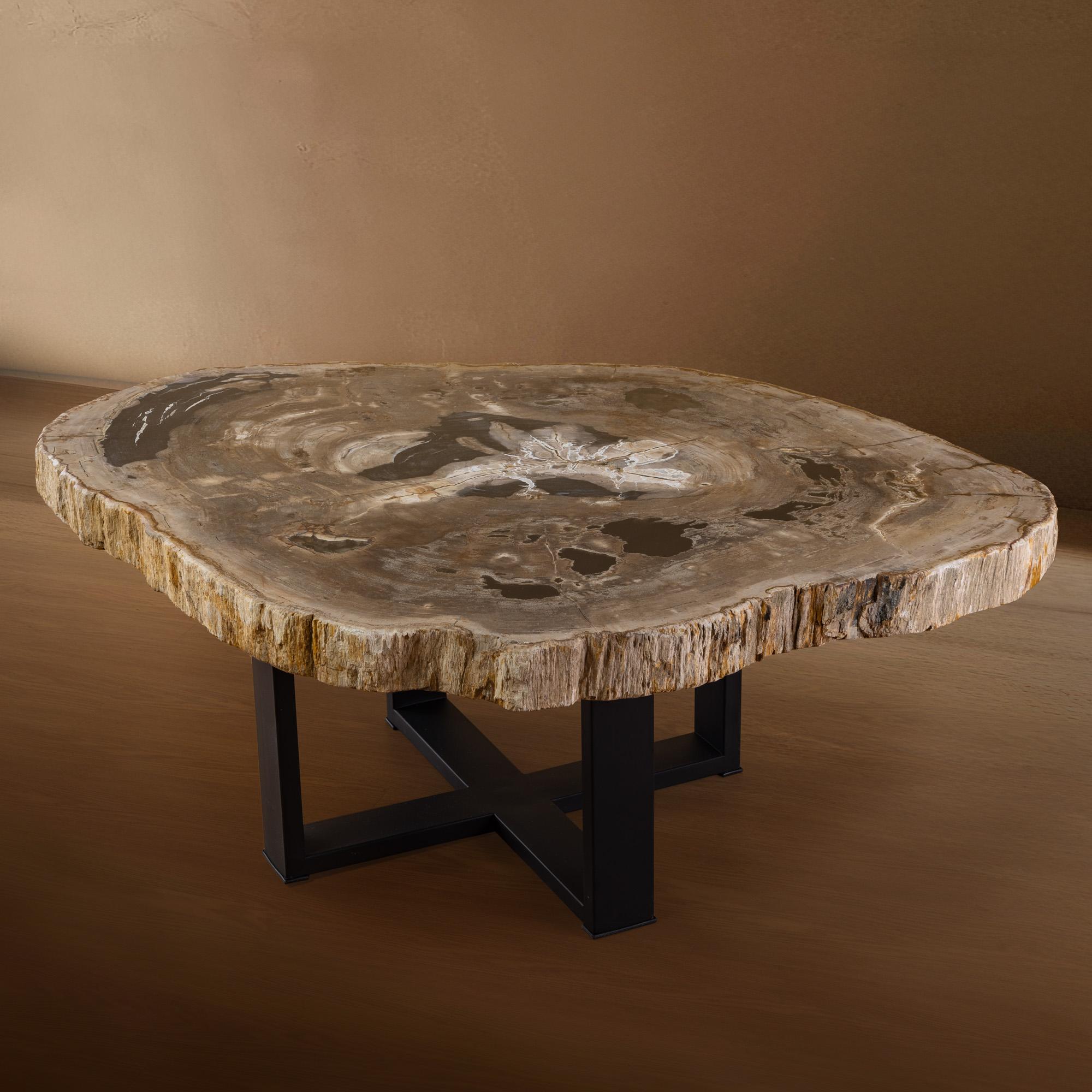 Mexicain Table centrale ou table basse, de forme naturelle, bois pétrifié avec base en métal en vente