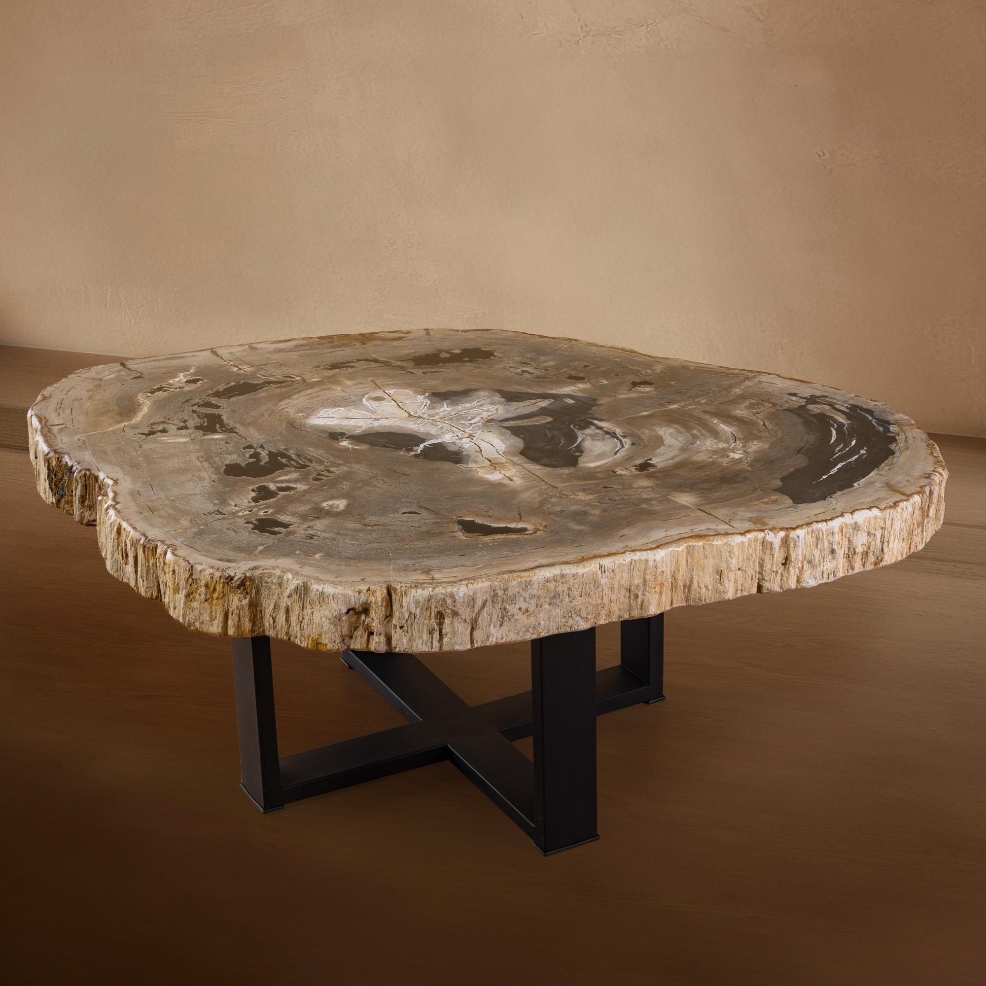 Mexican 20 Myr Petrified Wood Center or Coffee Table, Natural Shape with Metal Base For Sale