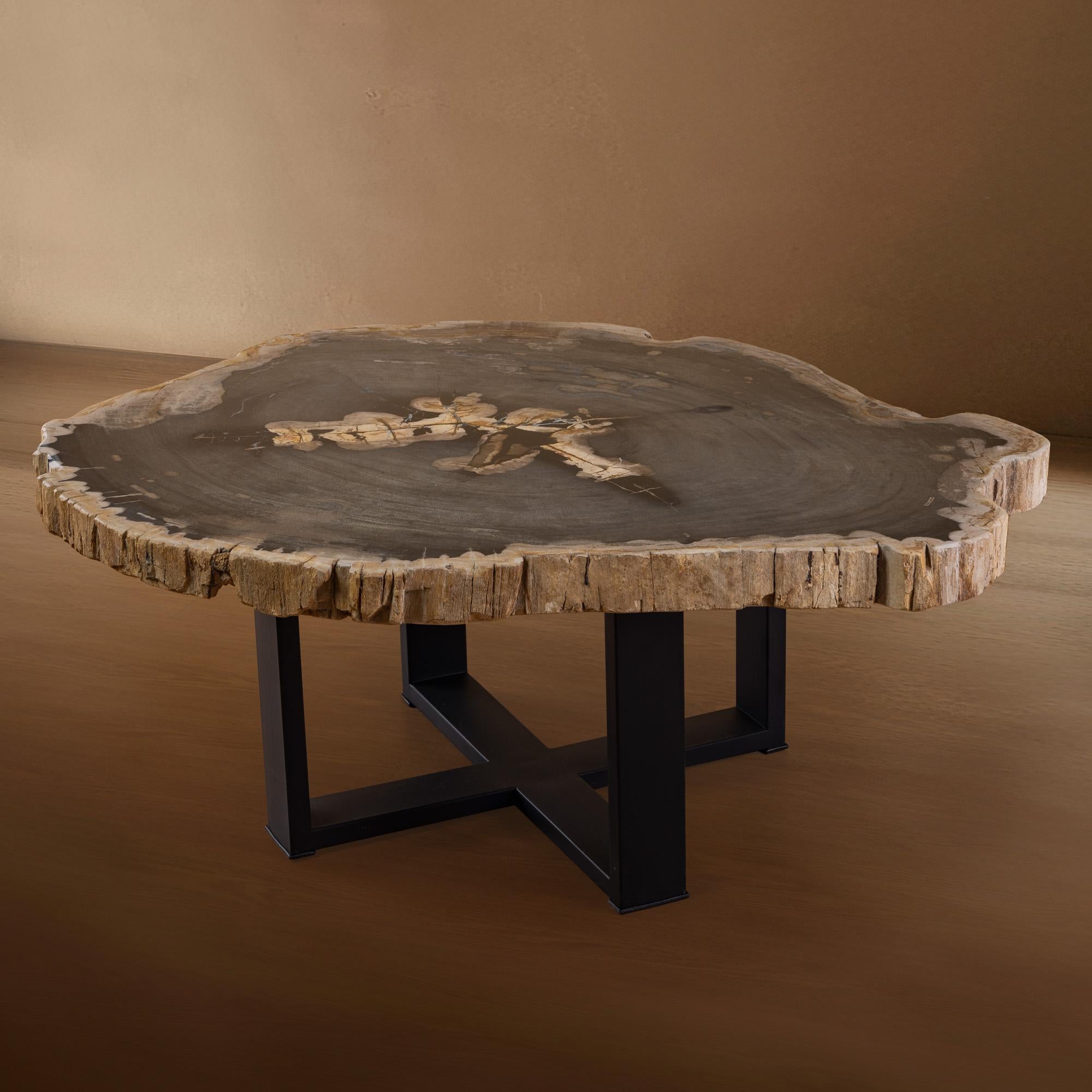 Mexicain Table centrale ou table basse, de forme naturelle, bois pétrifié avec base en métal en vente