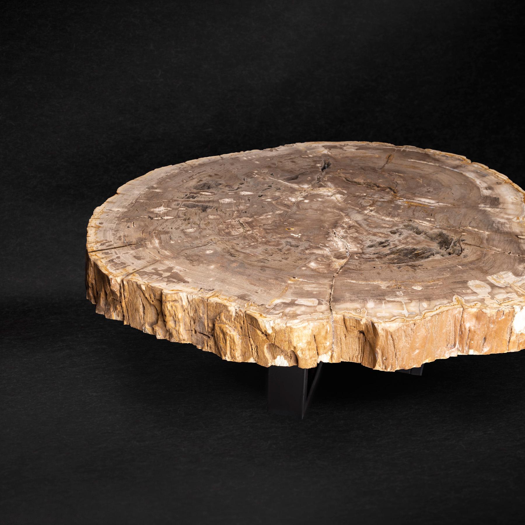 Polished Center or Coffee Table, Natural Shape, Petrified Wood with Metal Base