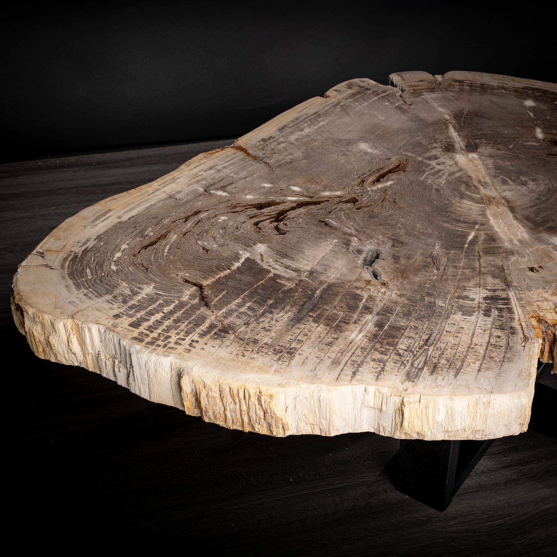 Mittel- oder Couchtisch, natürliche Form, versteinertes Holz mit Metallfuß (Mexikanisch) im Angebot