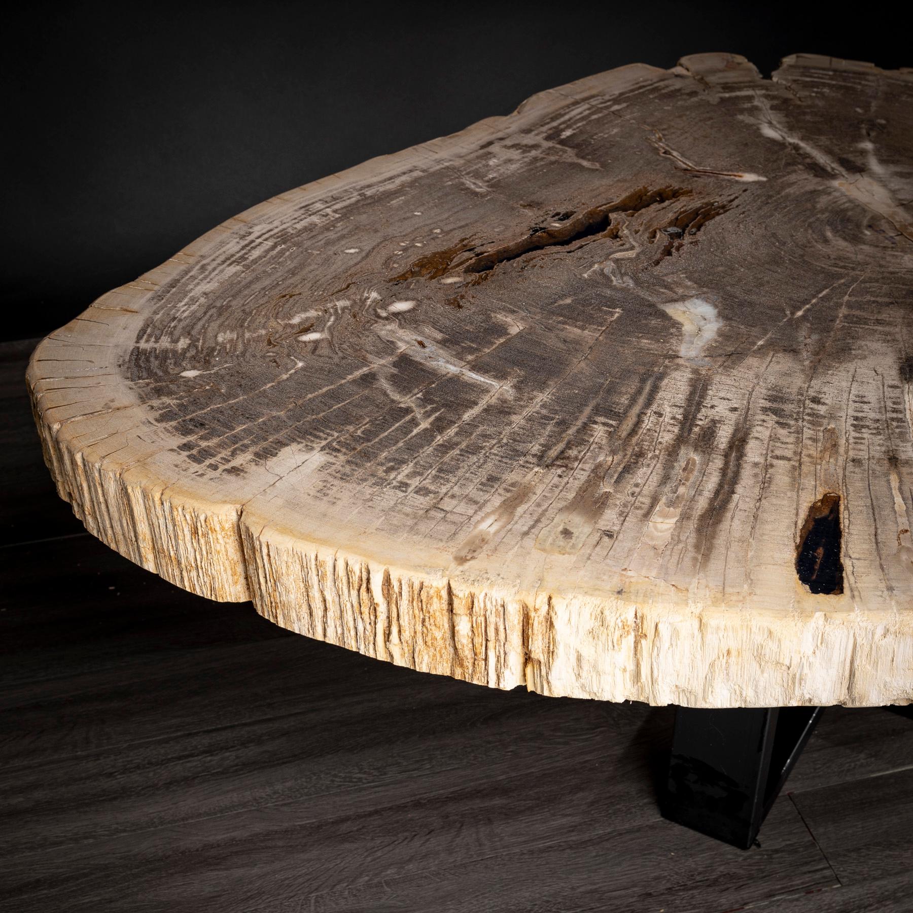 Mexican Center or Coffee Table, Natural Shape, Petrified Wood with Metal Base For Sale