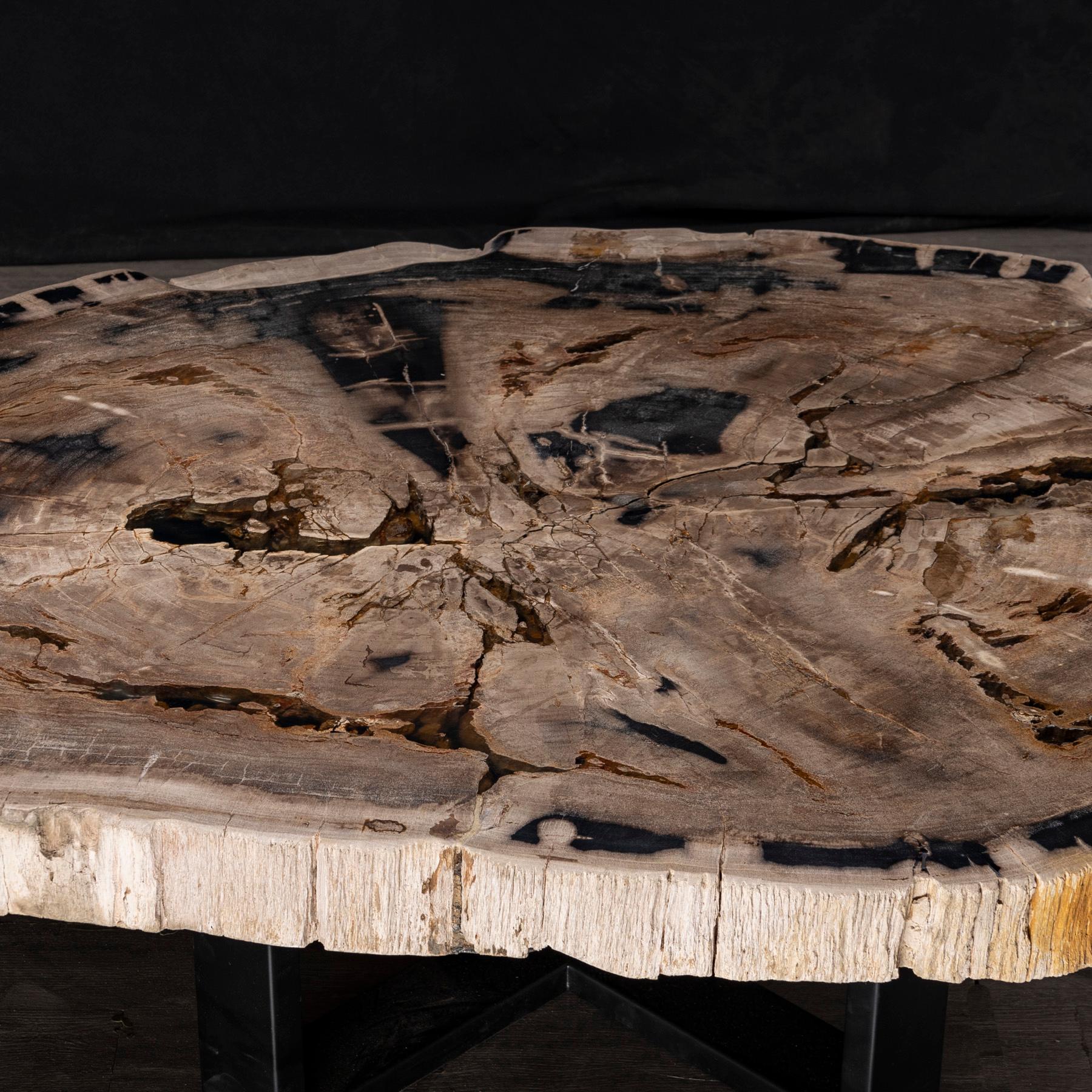 Poli Table centrale ou table basse, de forme naturelle, bois pétrifié avec base en métal en vente