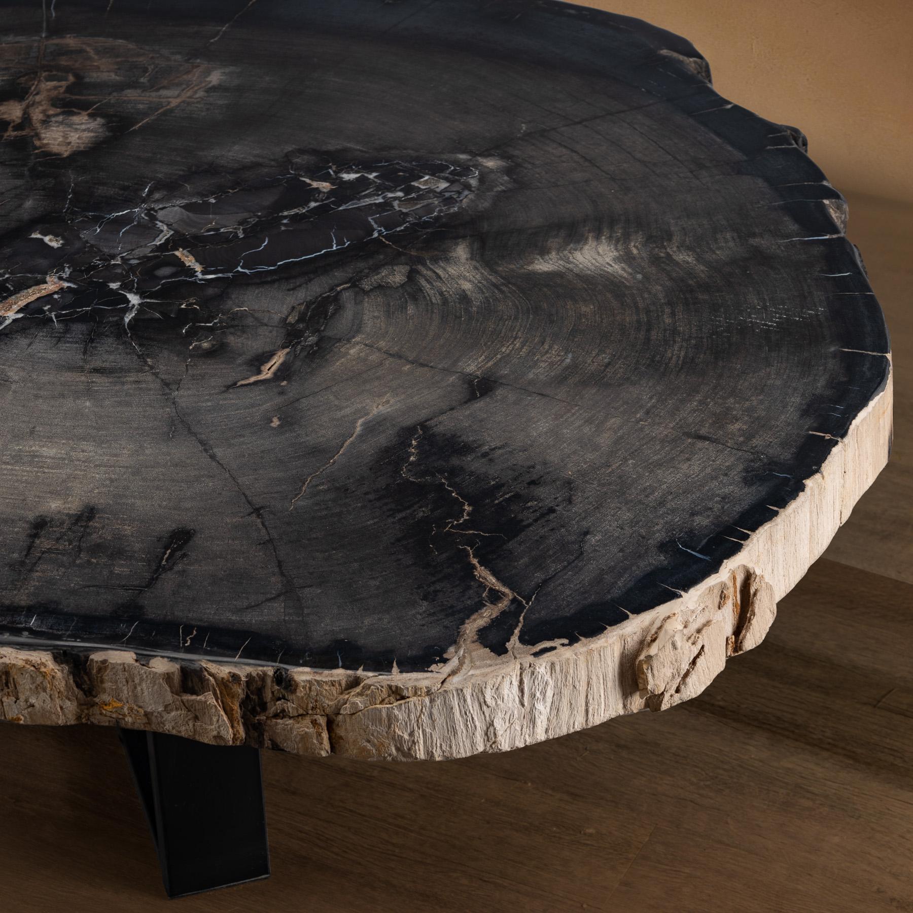 Polished Center or Coffee Table, Natural Shape, Petrified Wood with Metal Base