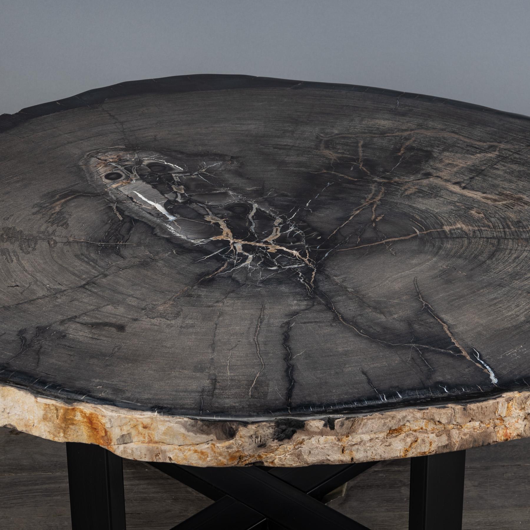 Polished Center or Coffee Table, Natural Shape, Petrified Wood with Metal Base