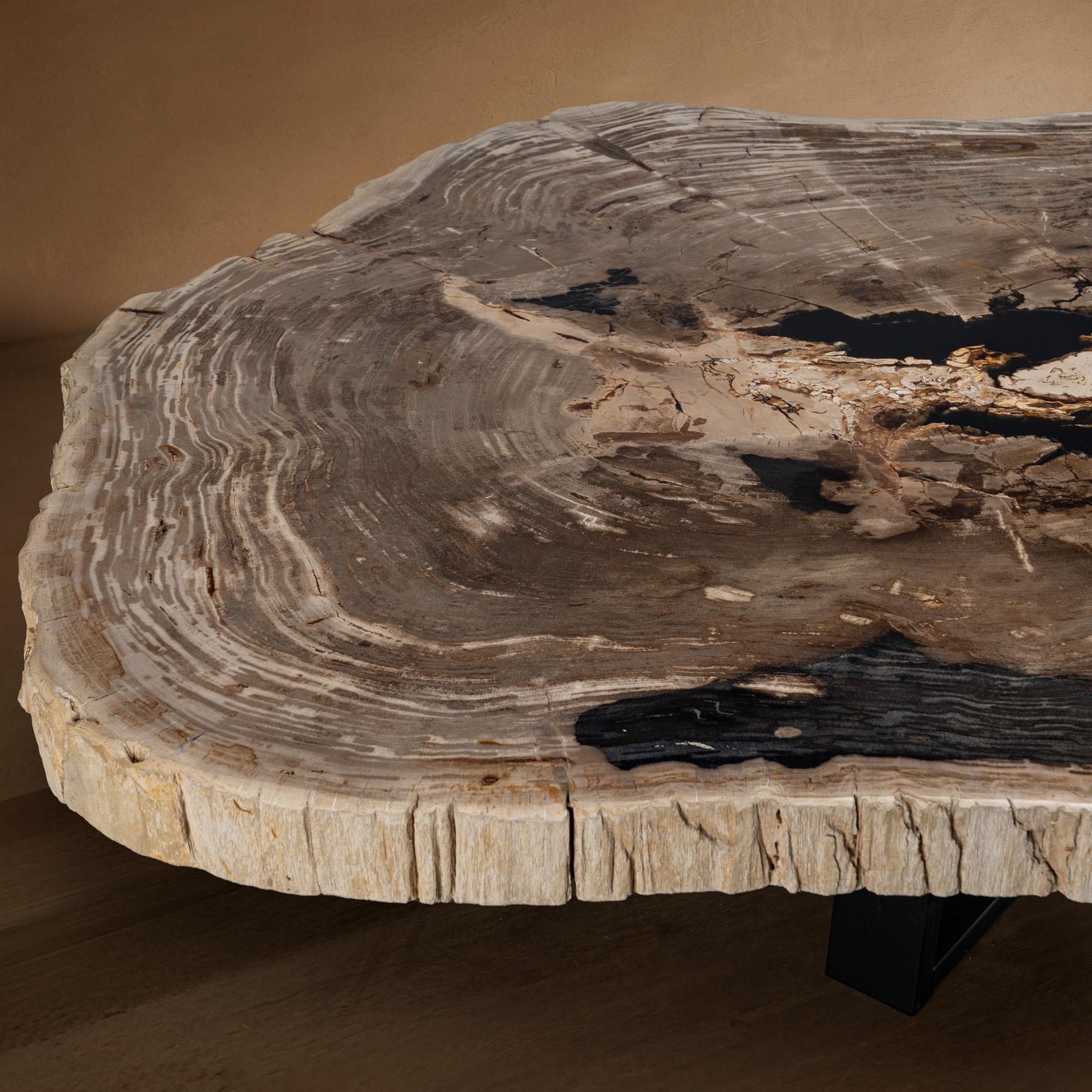 Poli Table centrale ou table basse, de forme naturelle, bois pétrifié avec base en métal en vente