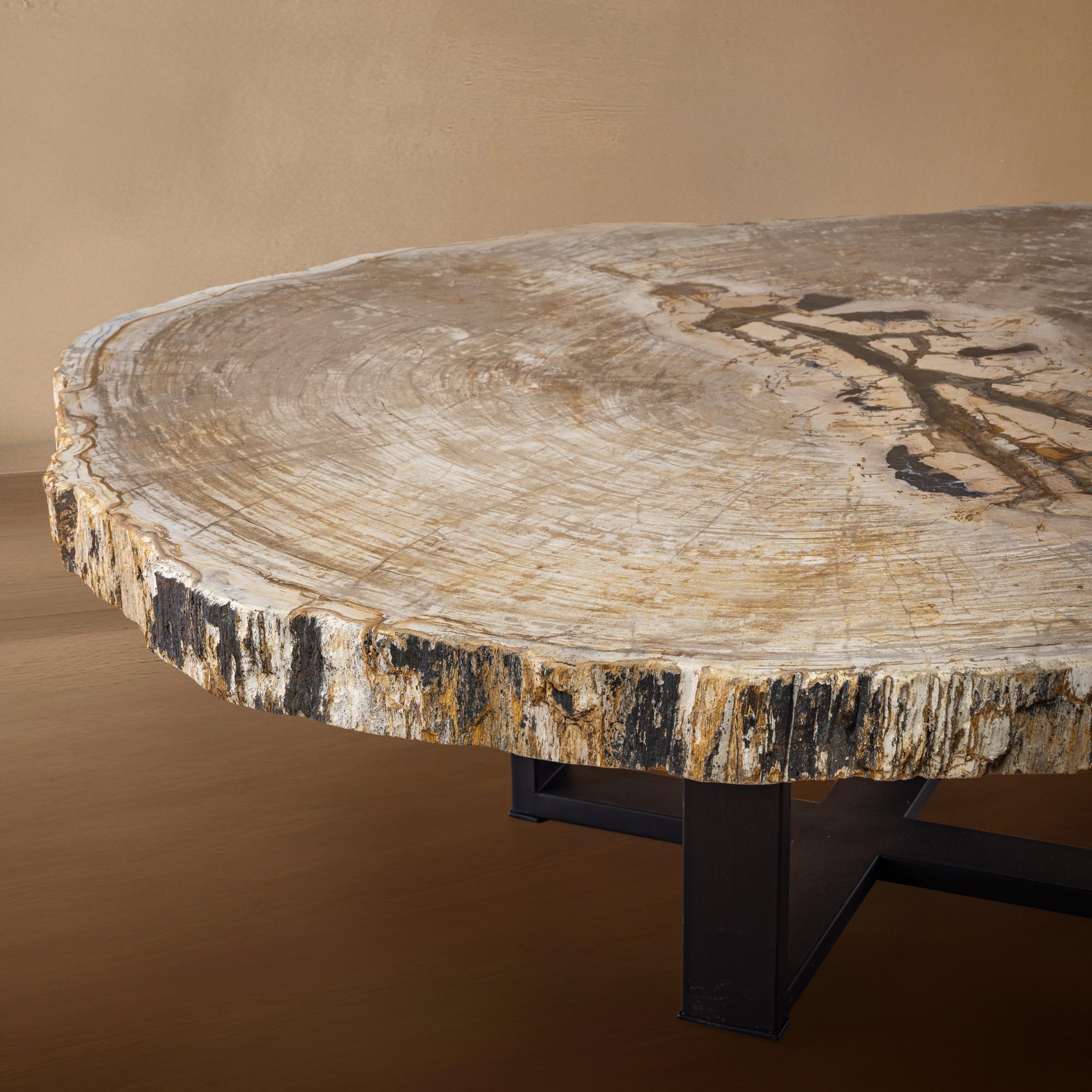 Poli Table centrale ou table basse, de forme naturelle, bois pétrifié avec base en métal en vente
