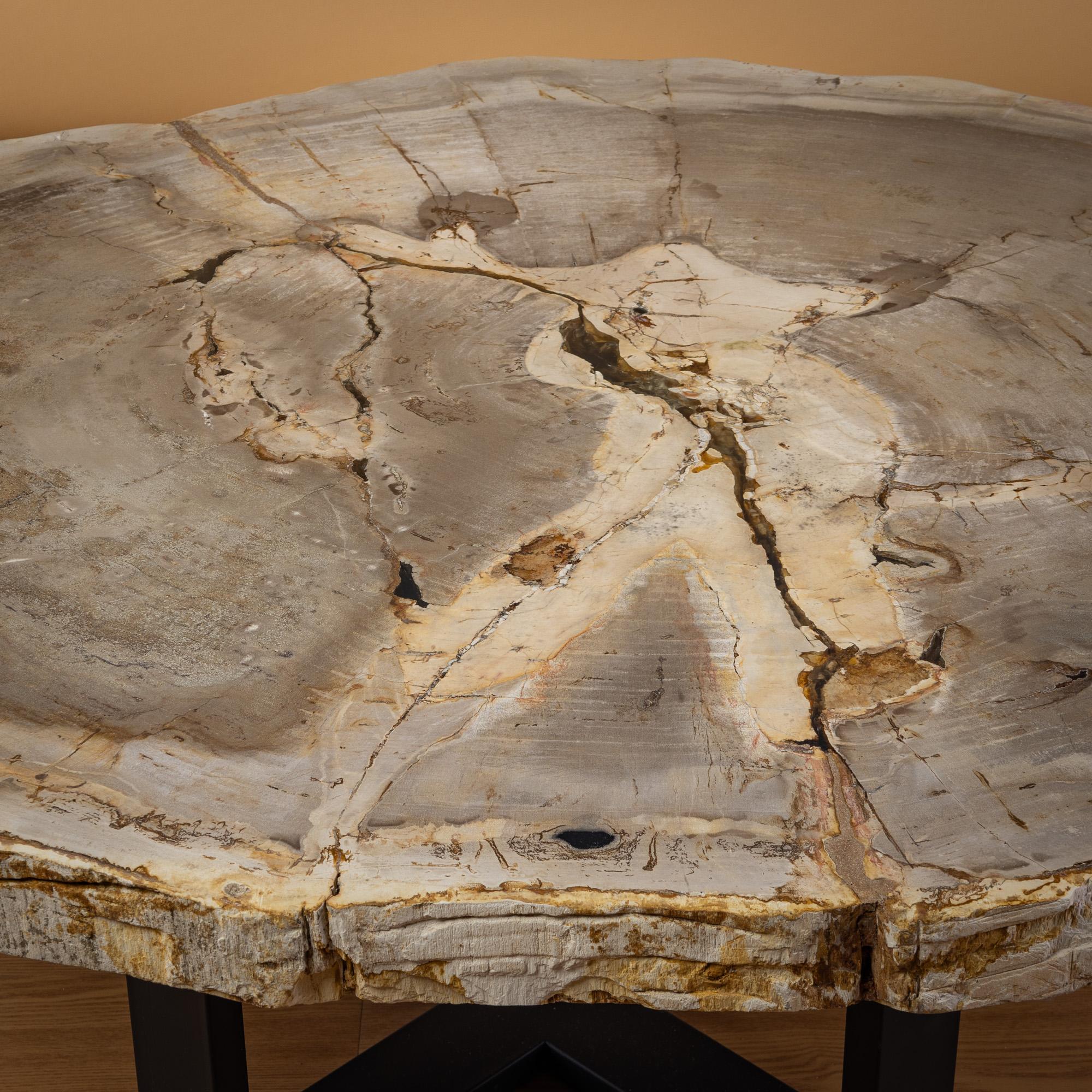 Mexicain Table centrale ou table basse, de forme naturelle, bois pétrifié avec base en métal en vente