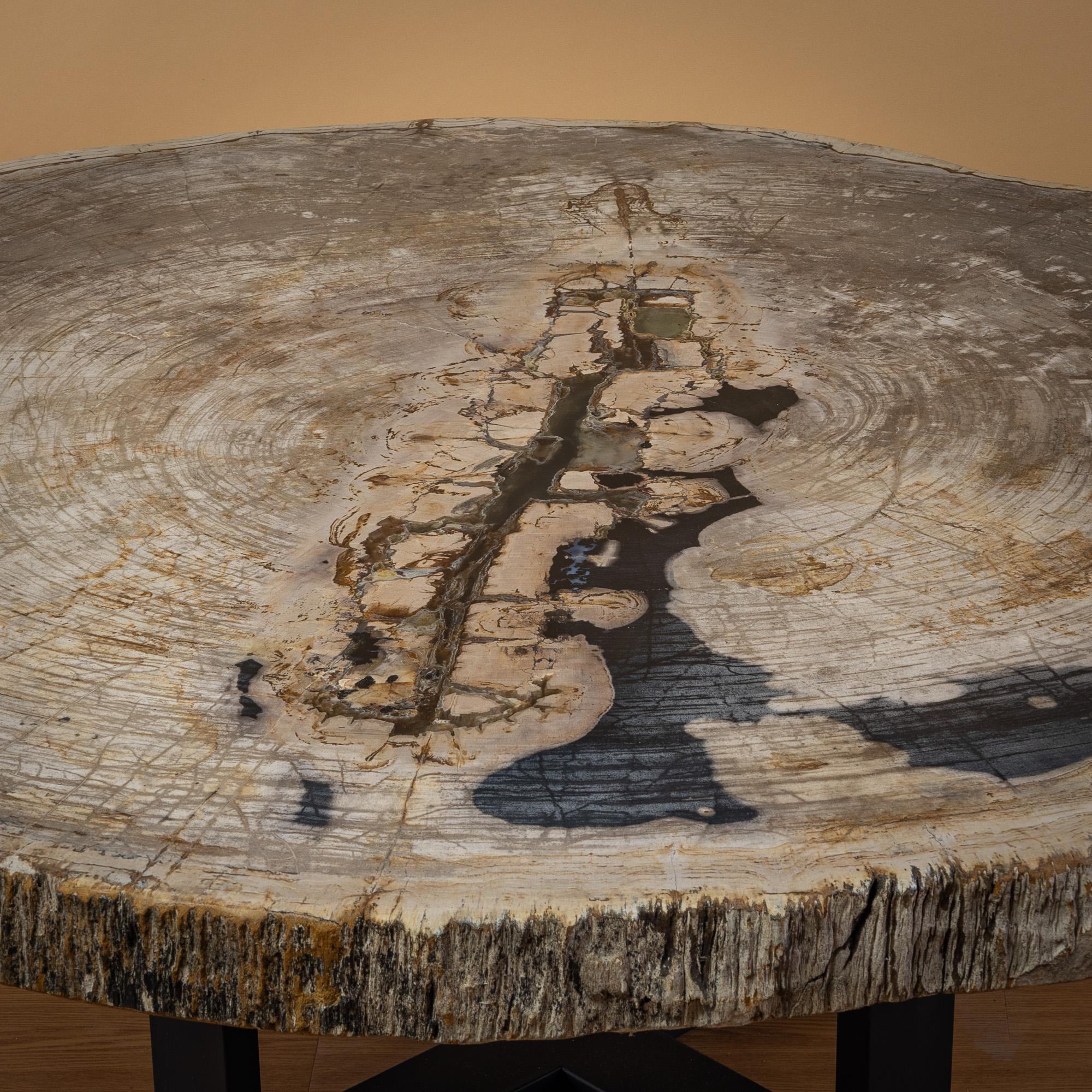 Poli Table centrale ou table basse, de forme naturelle, bois pétrifié avec base en métal en vente