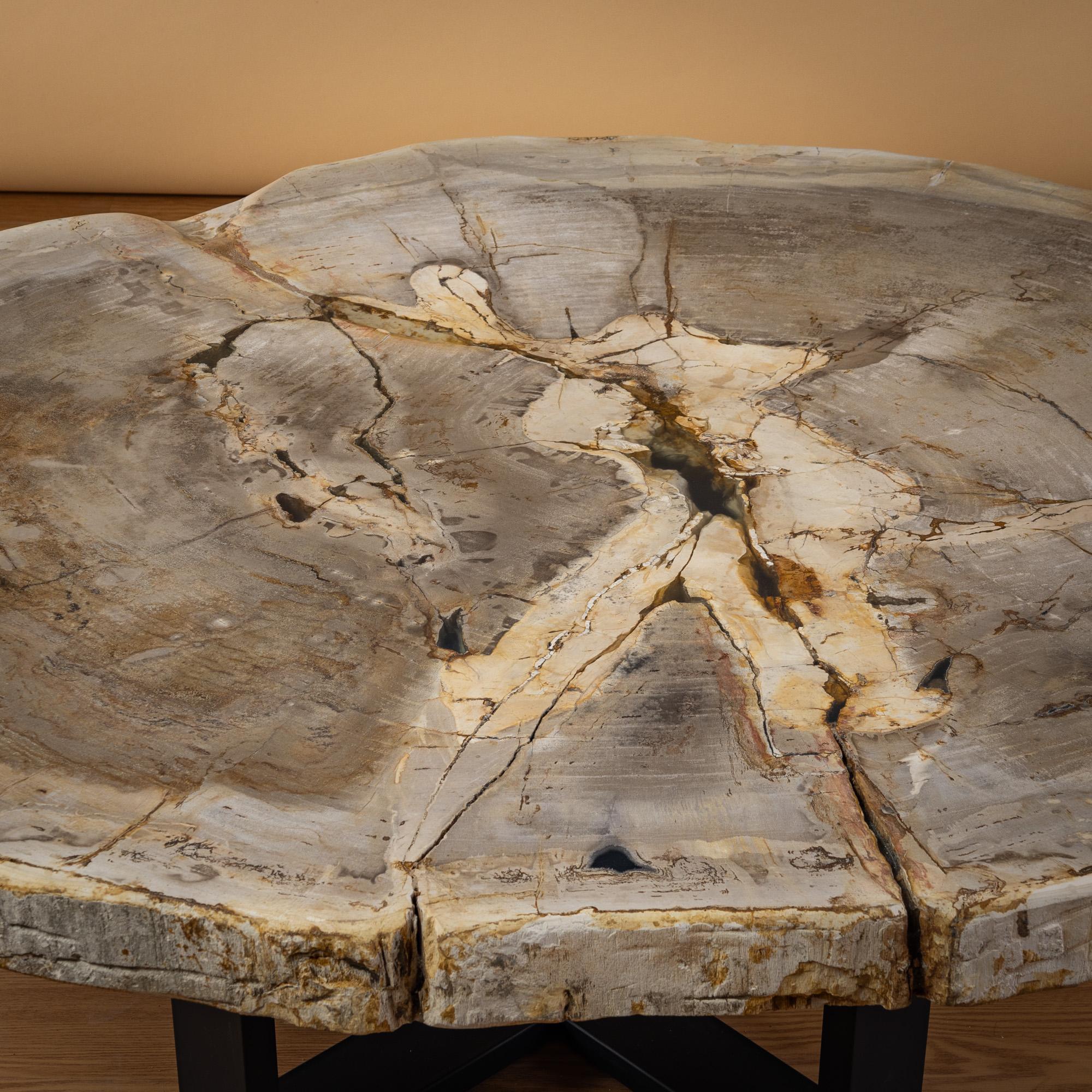 Lucidato Tavolino da centro o da caffè in legno pietrificato, forma naturale e base in metallo, Miocene in vendita