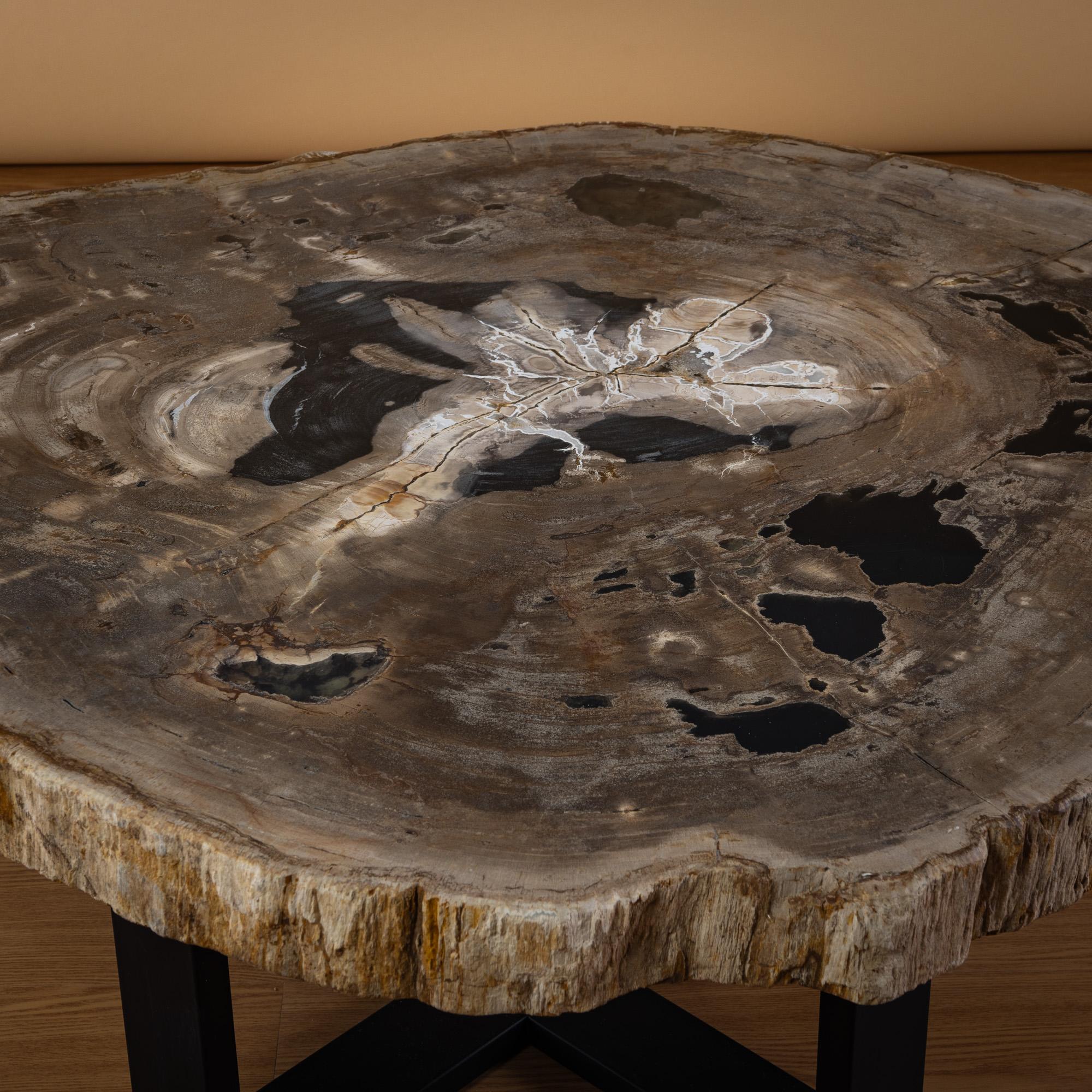 Poli Table centrale ou table basse, de forme naturelle, bois pétrifié avec base en métal en vente