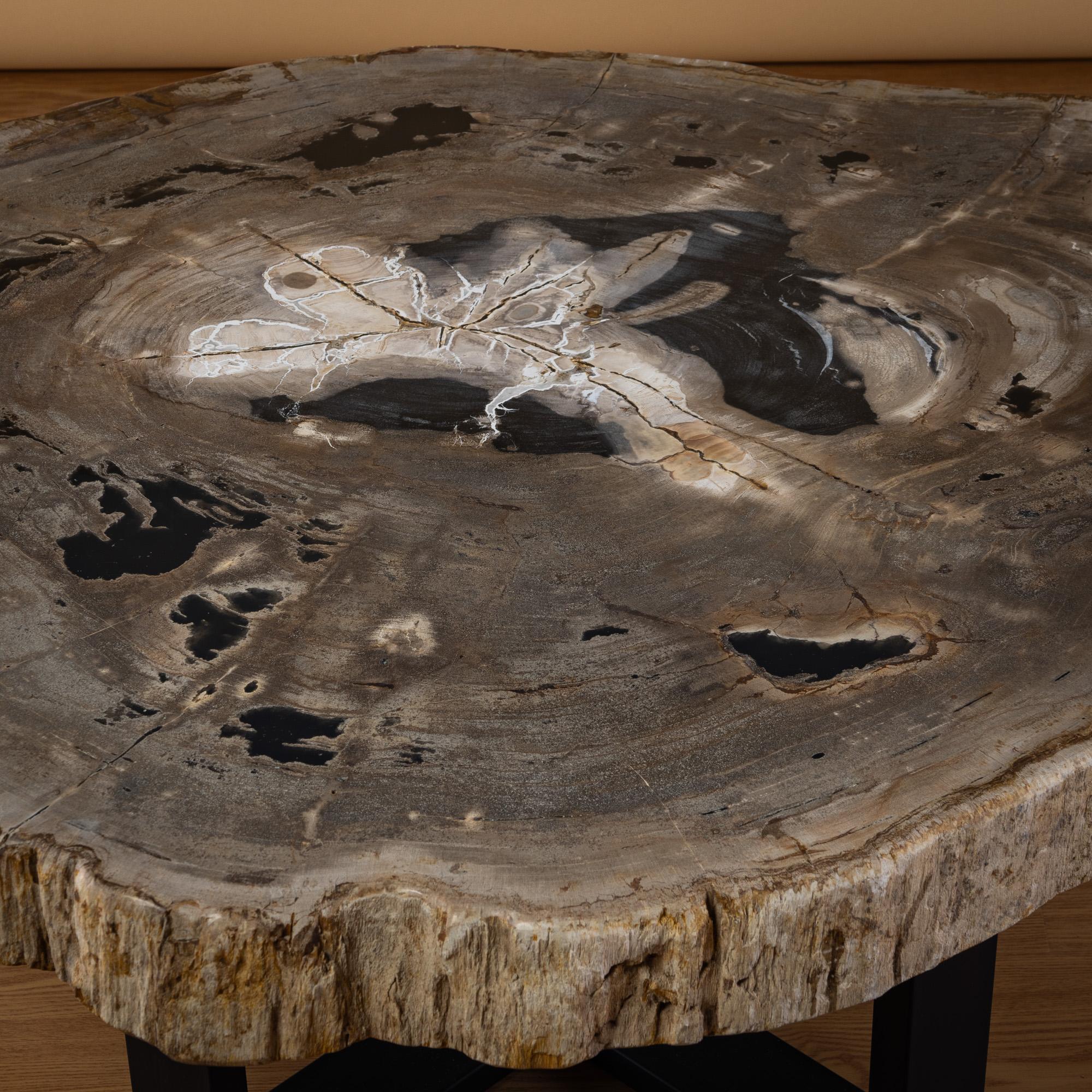 Polished 20 Myr Petrified Wood Center or Coffee Table, Natural Shape with Metal Base For Sale