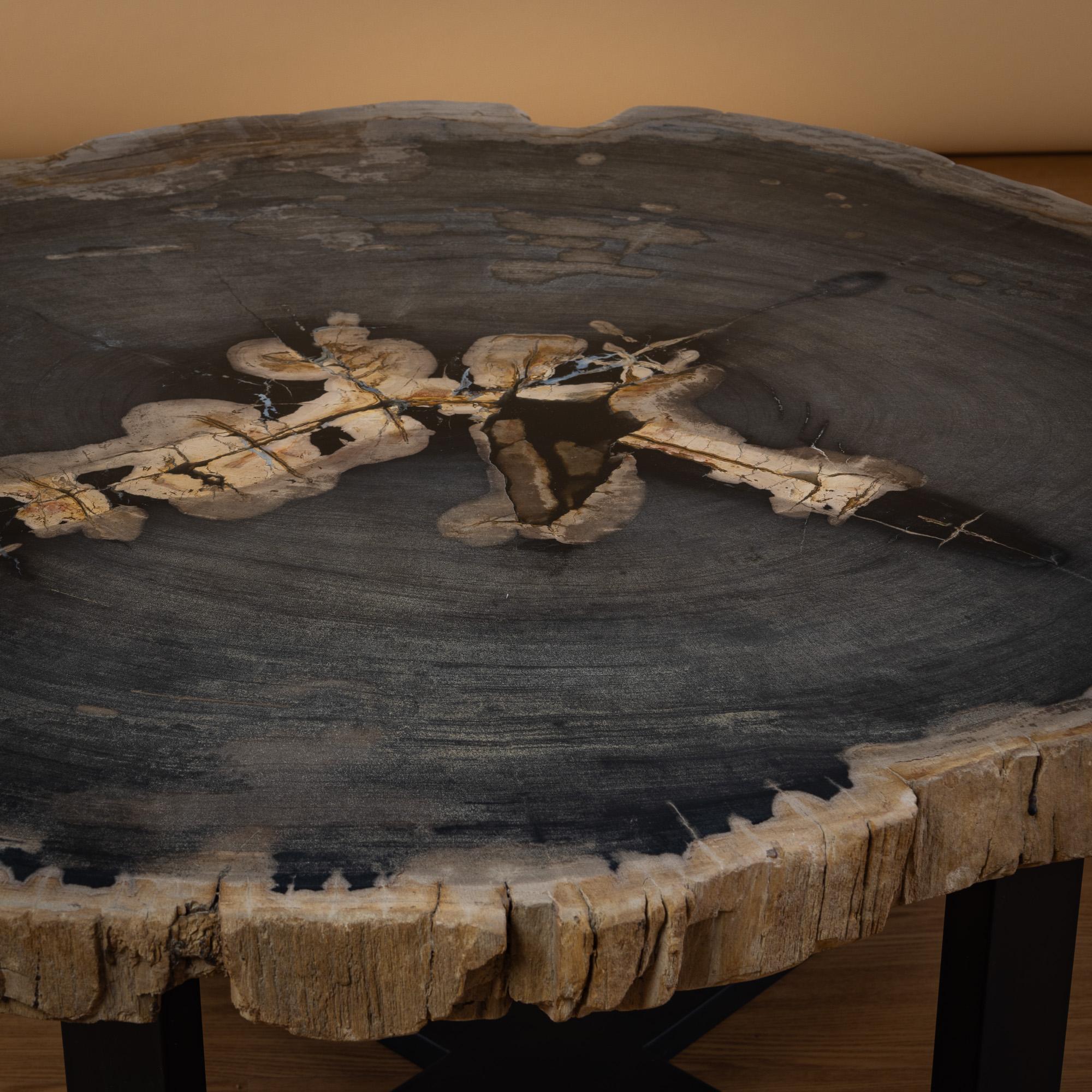 Poli Table centrale ou table basse, de forme naturelle, bois pétrifié avec base en métal en vente