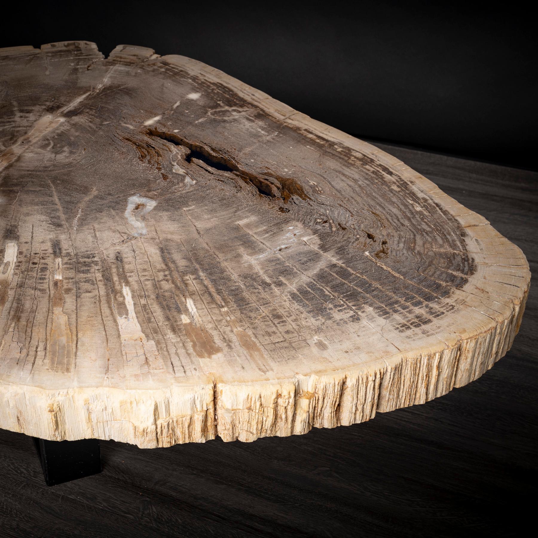 Poli Table centrale ou table basse, de forme naturelle, bois pétrifié avec base en métal en vente