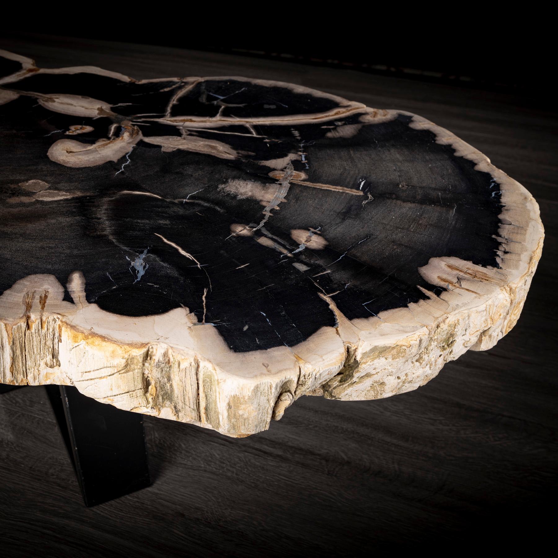 Center or Coffee Table, Natural Shape, Petrified Wood with Metal Base In New Condition In Polanco, CDMX