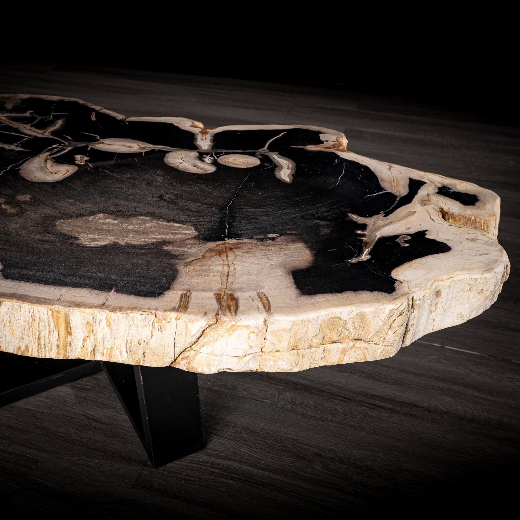 Center or Coffee Table, Natural Shape, Petrified Wood with Metal Base In New Condition In Polanco, CDMX