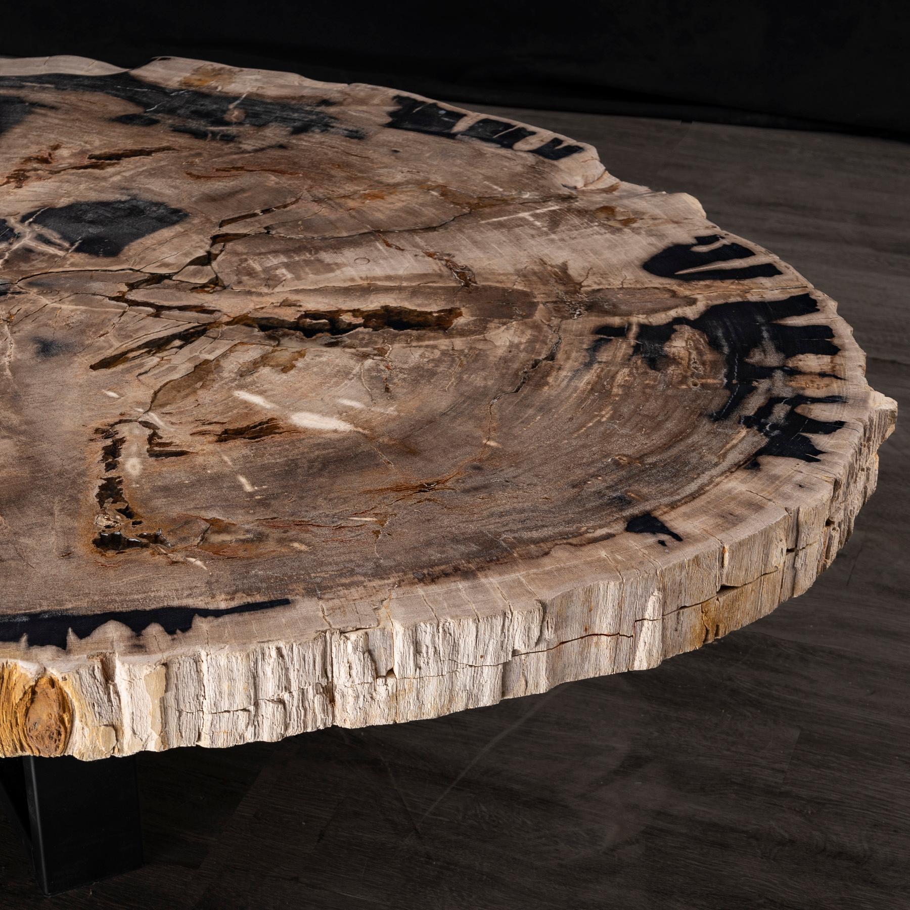 Mittel- oder Couchtisch, natürliches Holz, versteinertes Holz mit Metallsockel im Zustand „Neu“ im Angebot in Polanco, CDMX