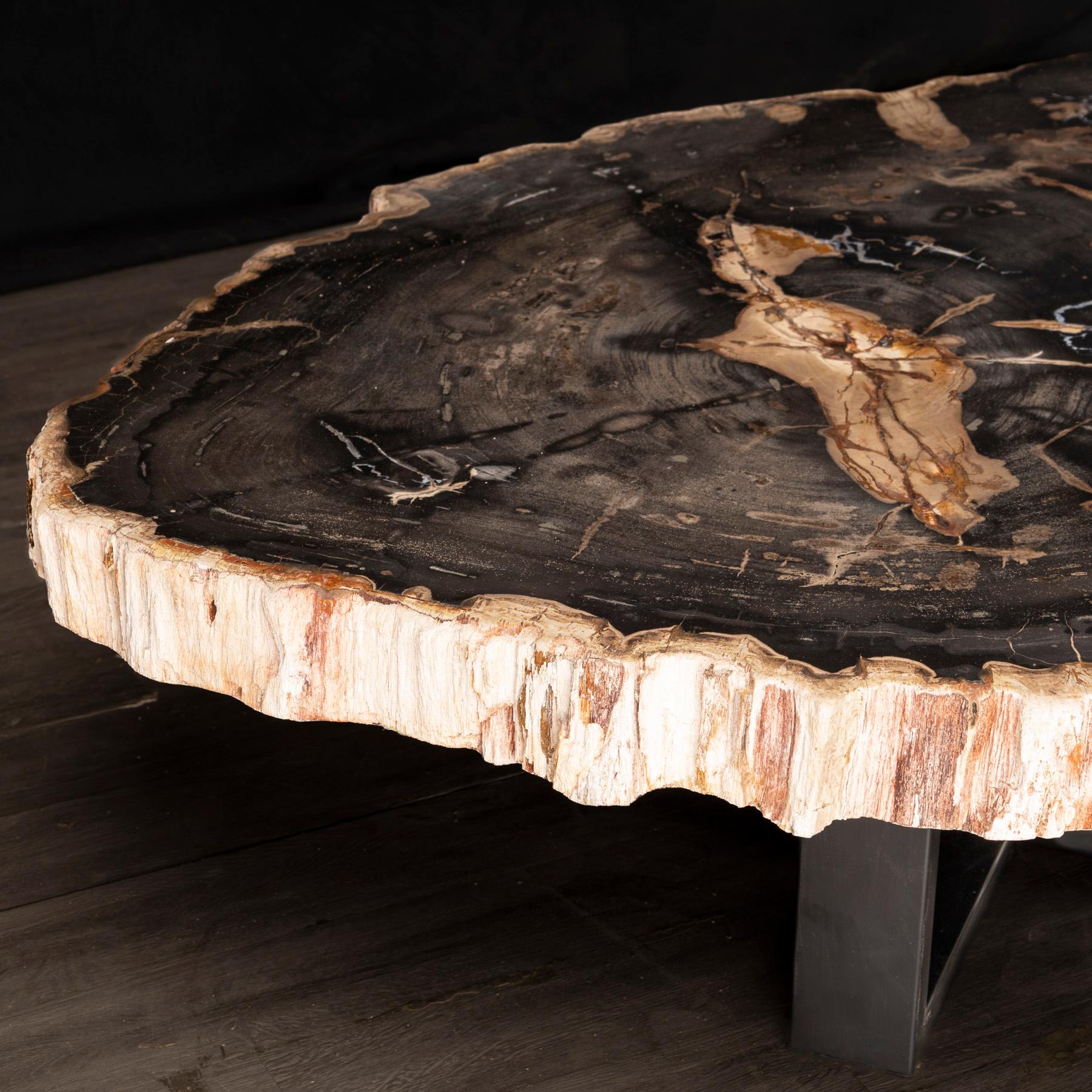 Table centrale ou table basse, de forme naturelle, bois pétrifié avec base en métal Neuf - En vente à Polanco, CDMX