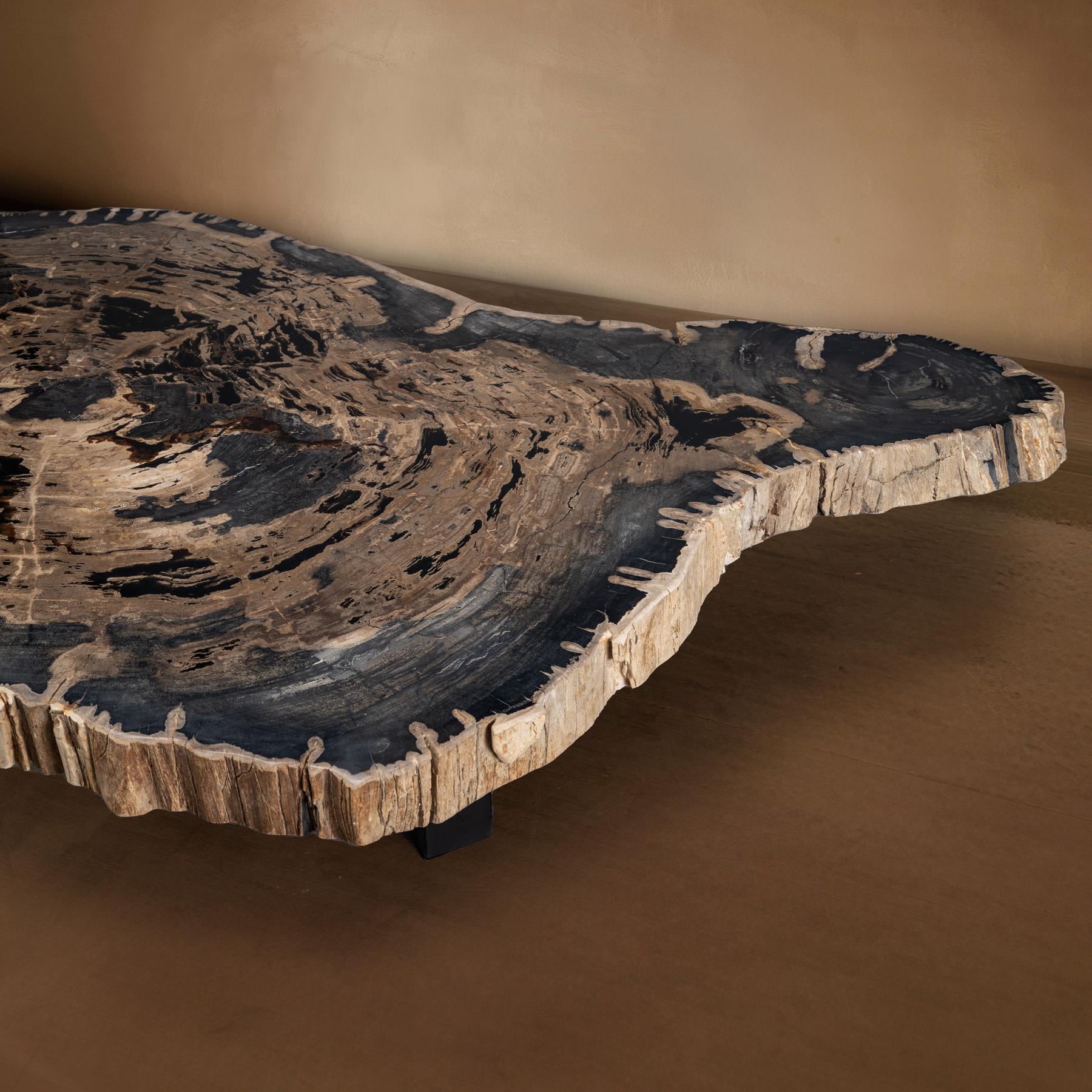Center or Coffee Table, Natural Shape, Petrified Wood with Metal Base In New Condition For Sale In Polanco, CDMX
