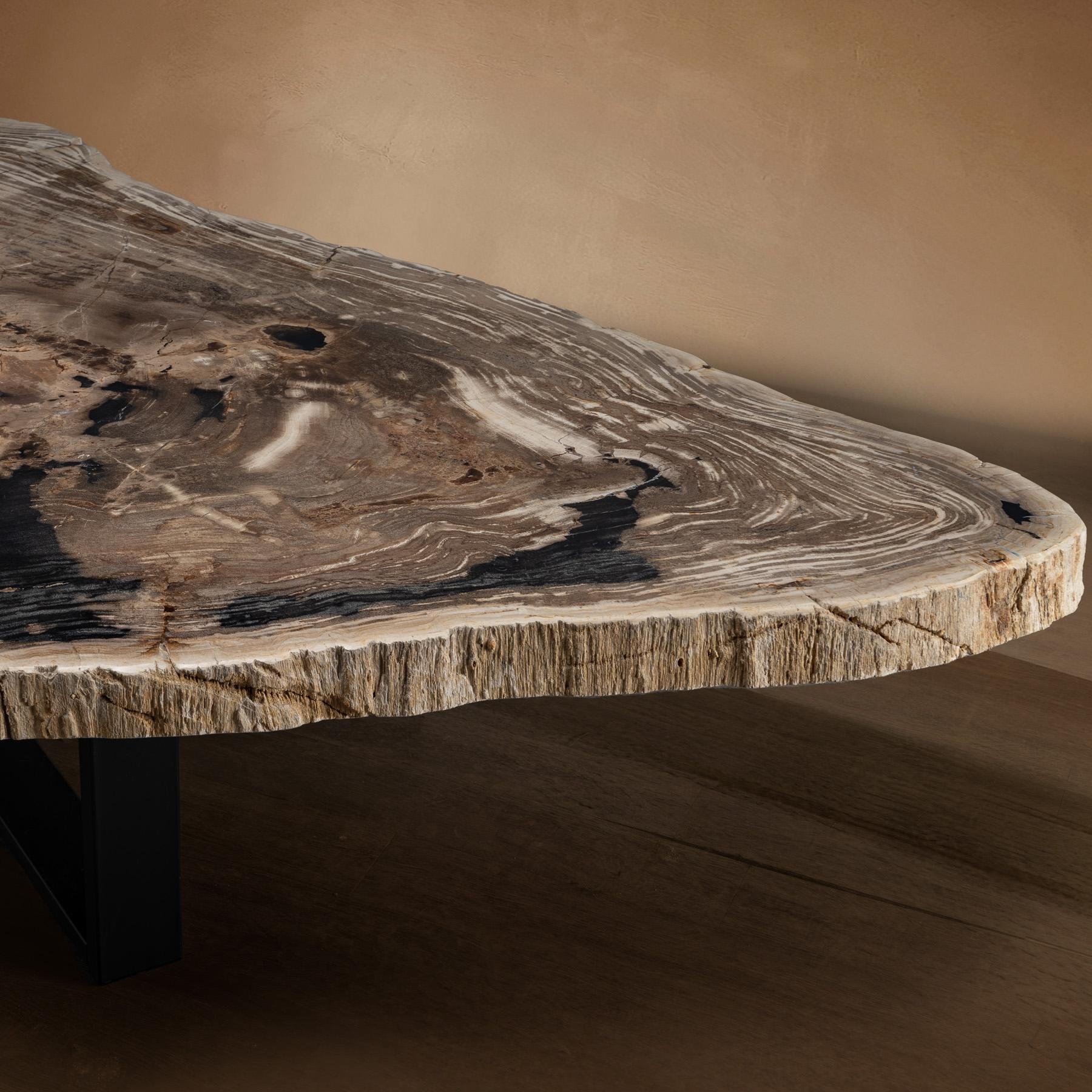 Table centrale ou table basse, de forme naturelle, bois pétrifié avec base en métal Neuf - En vente à Polanco, CDMX