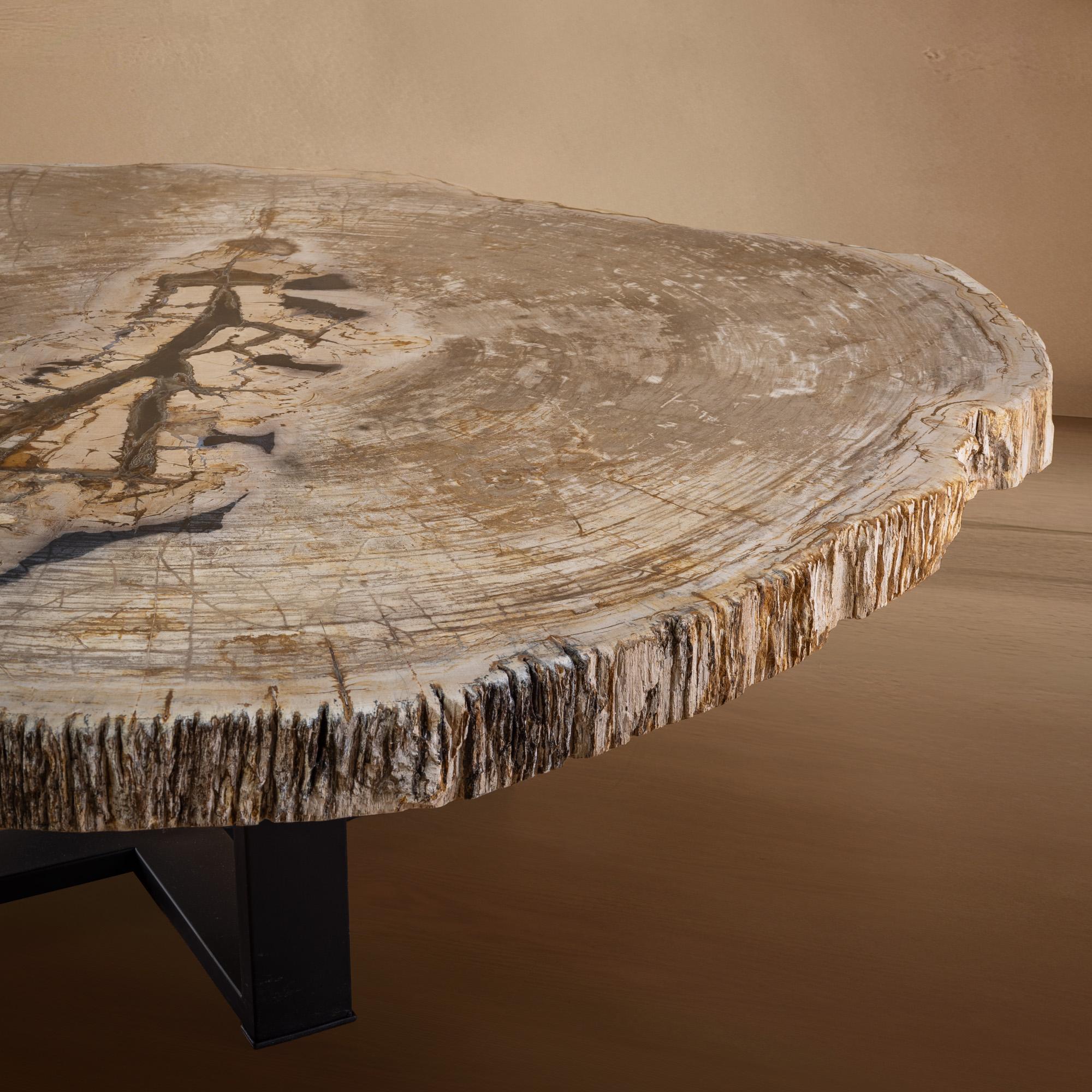 Table centrale ou table basse, de forme naturelle, bois pétrifié avec base en métal Neuf - En vente à Polanco, CDMX