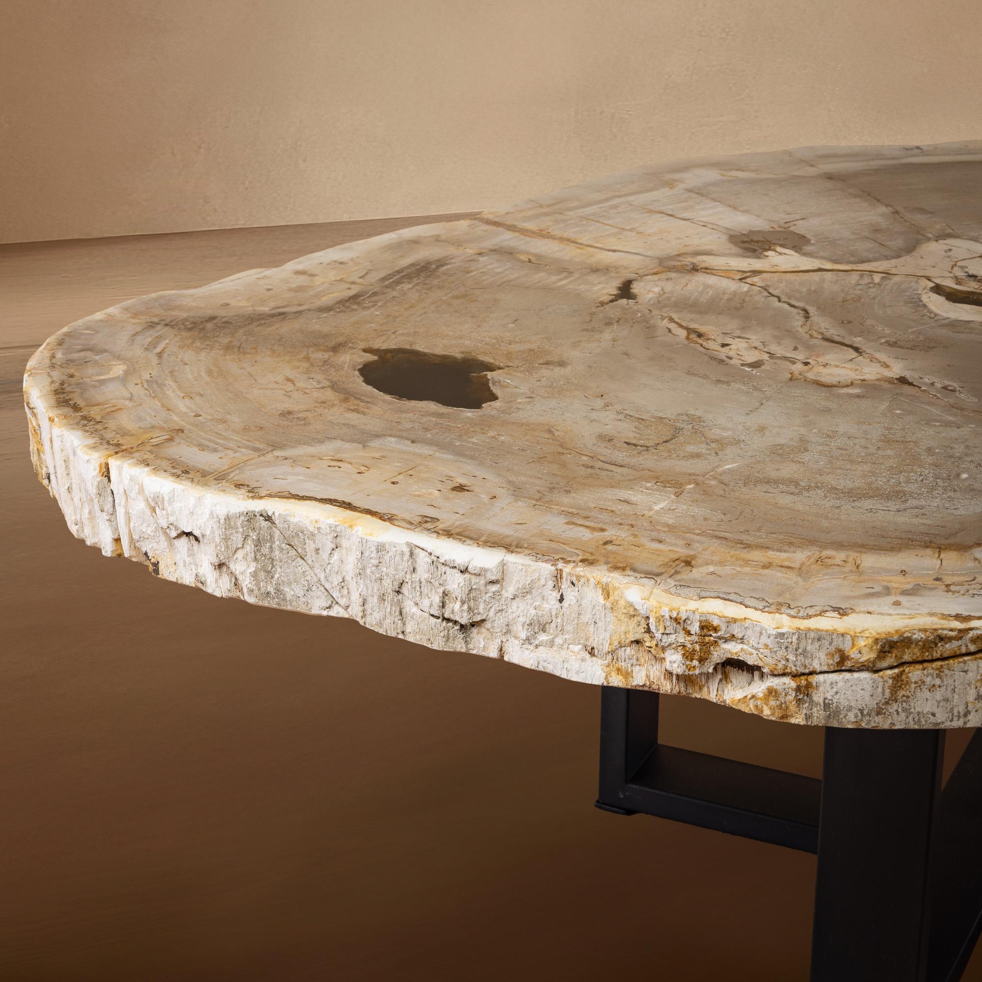 Poli Table centrale ou table basse, de forme naturelle, bois pétrifié avec base en métal en vente