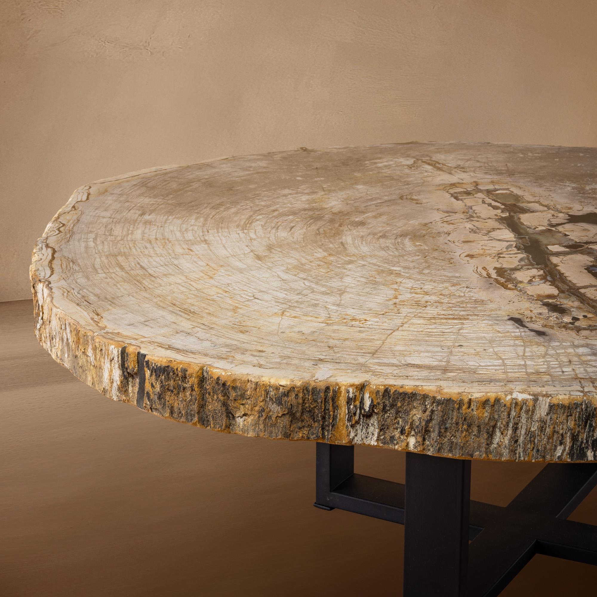 Table centrale ou table basse, de forme naturelle, bois pétrifié avec base en métal Neuf - En vente à Polanco, CDMX