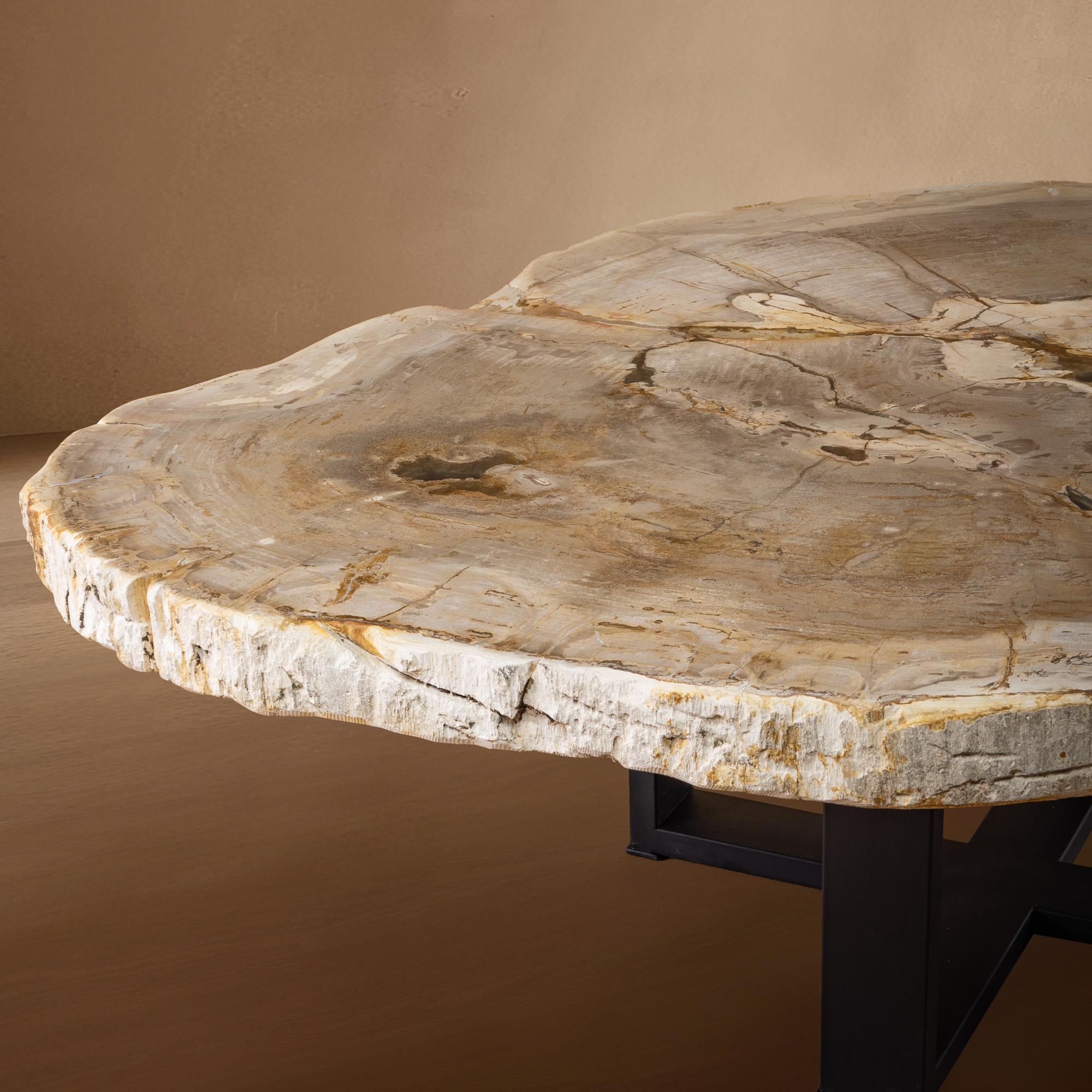 Tavolino da centro o da caffè in legno pietrificato, forma naturale e base in metallo, Miocene In condizioni Nuovo in vendita a Polanco, CDMX
